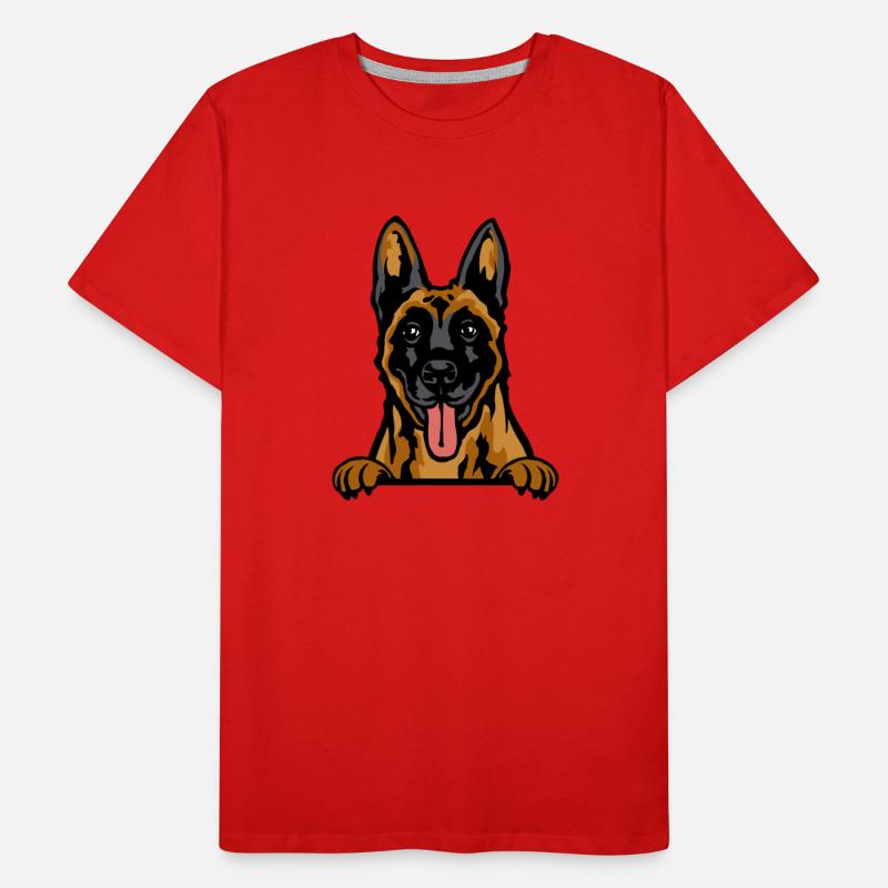 Belgian Malinois