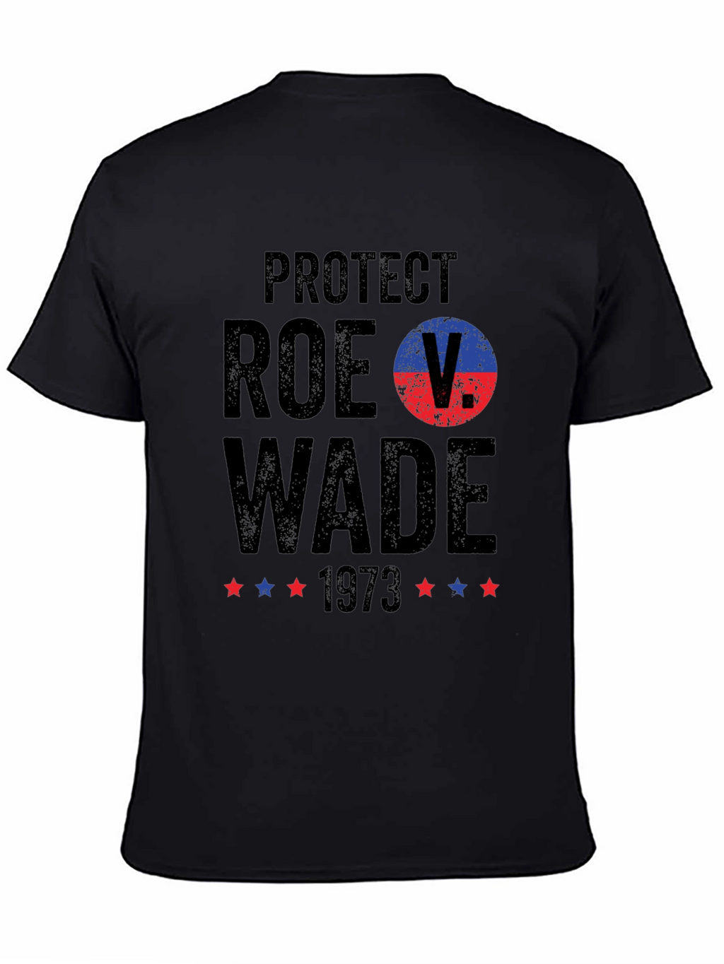 Protect Roe V Wade 1973 T-Shirt