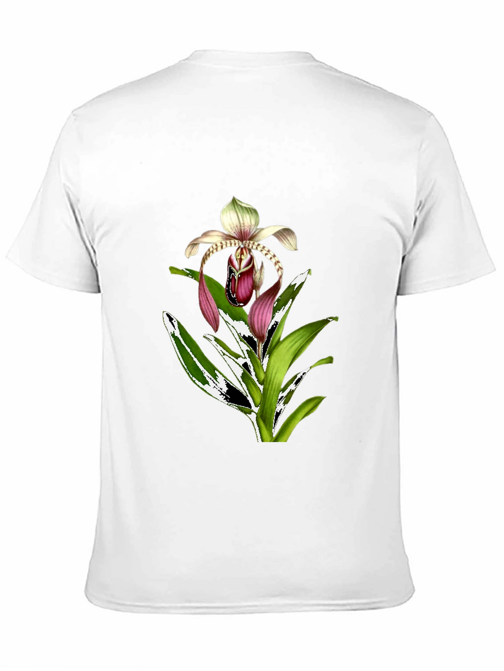 Orchid Graphic T-Shirt - Floral Print