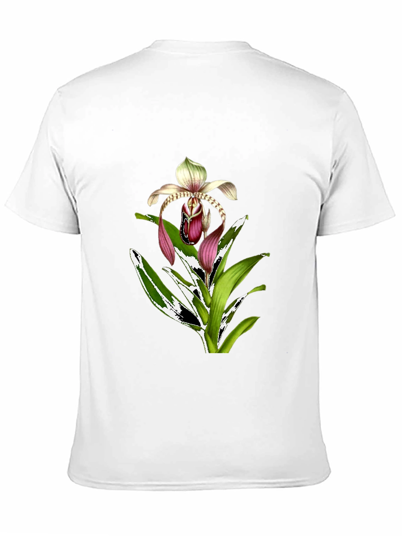Orchid Graphic T-Shirt - Floral Print