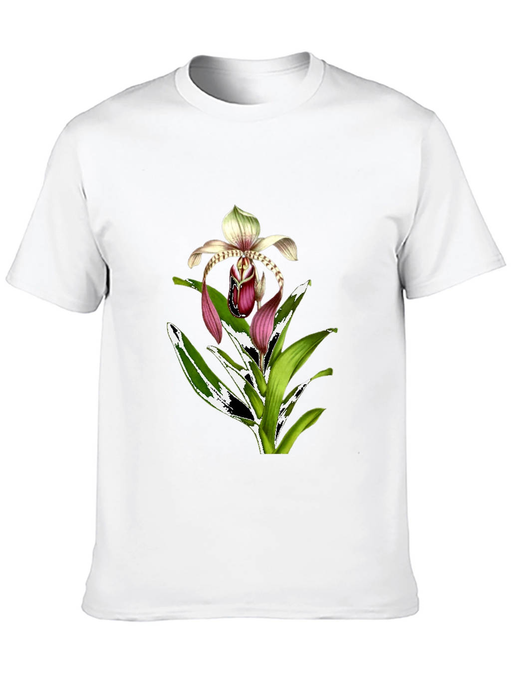 Orchid Graphic T-Shirt - Floral Print