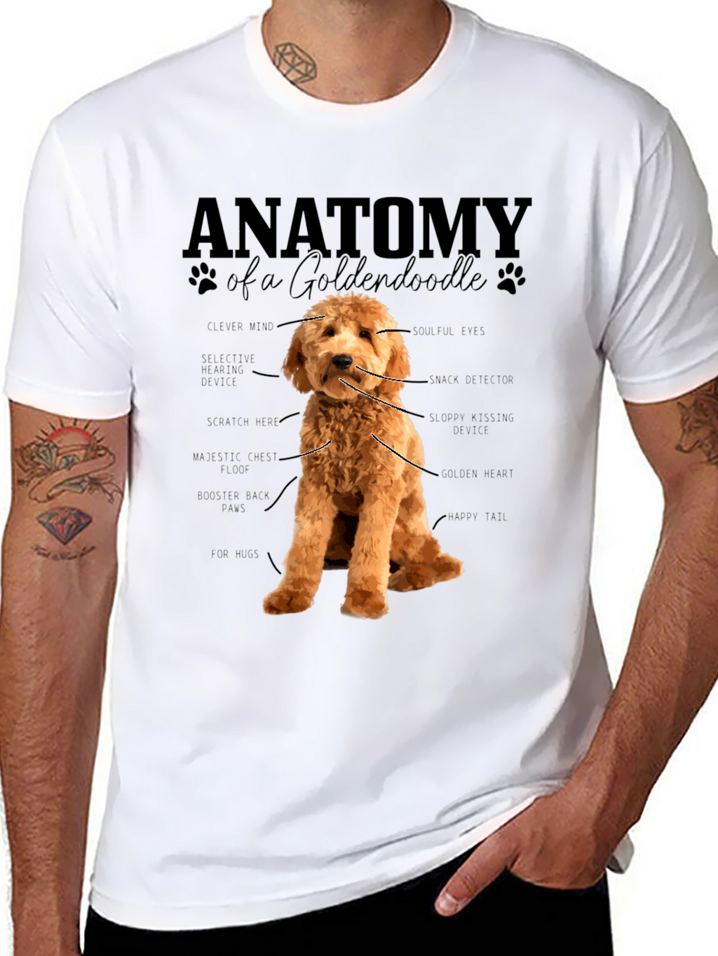 Anatomy of a Goldendoodle T-Shirt