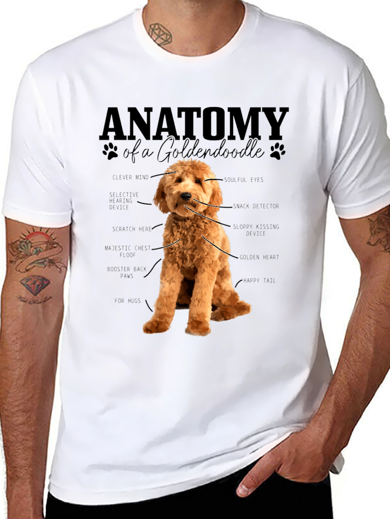 Anatomy of a Goldendoodle T-Shirt