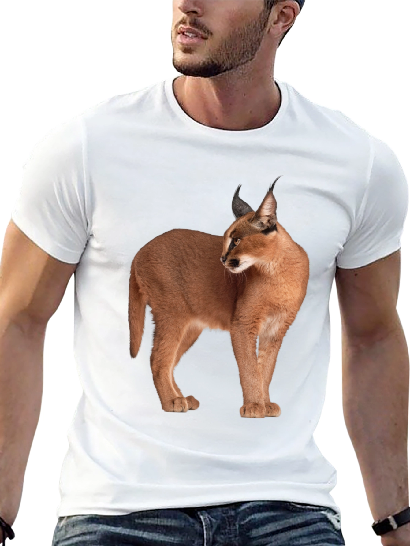 Caracal Cat Graphic T-Shirt