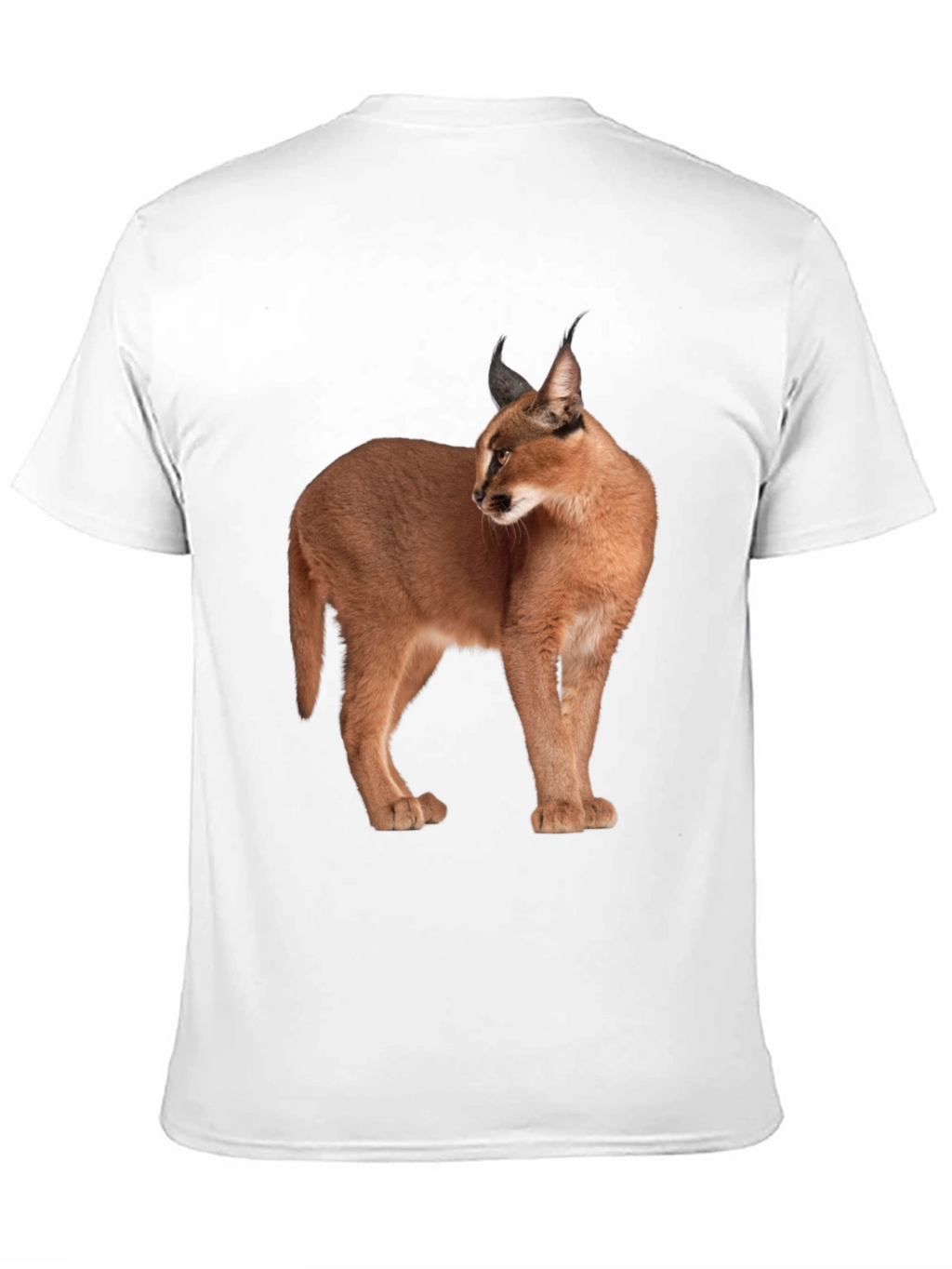 Caracal Cat Graphic T-Shirt