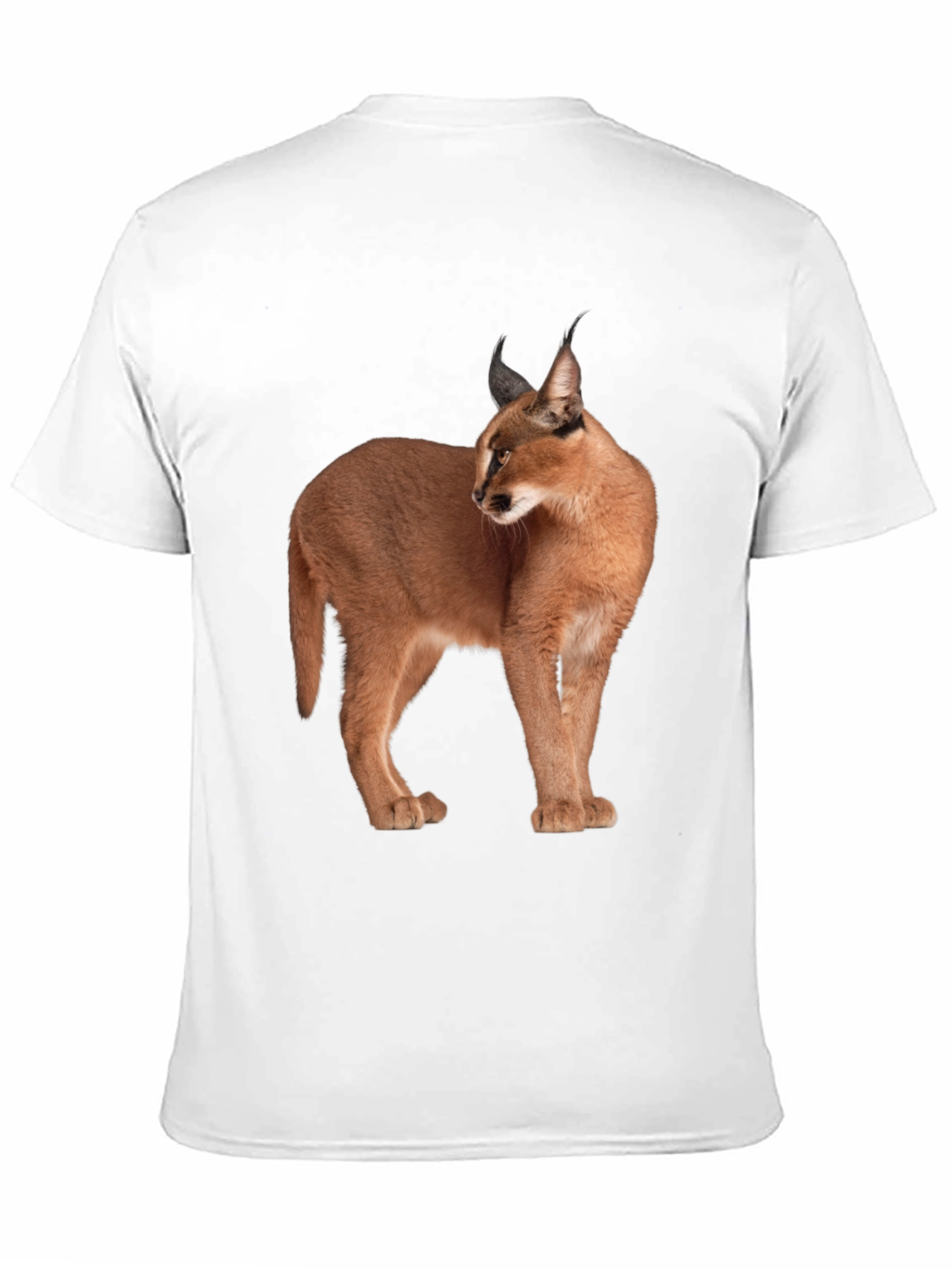 Caracal Cat Graphic T-Shirt