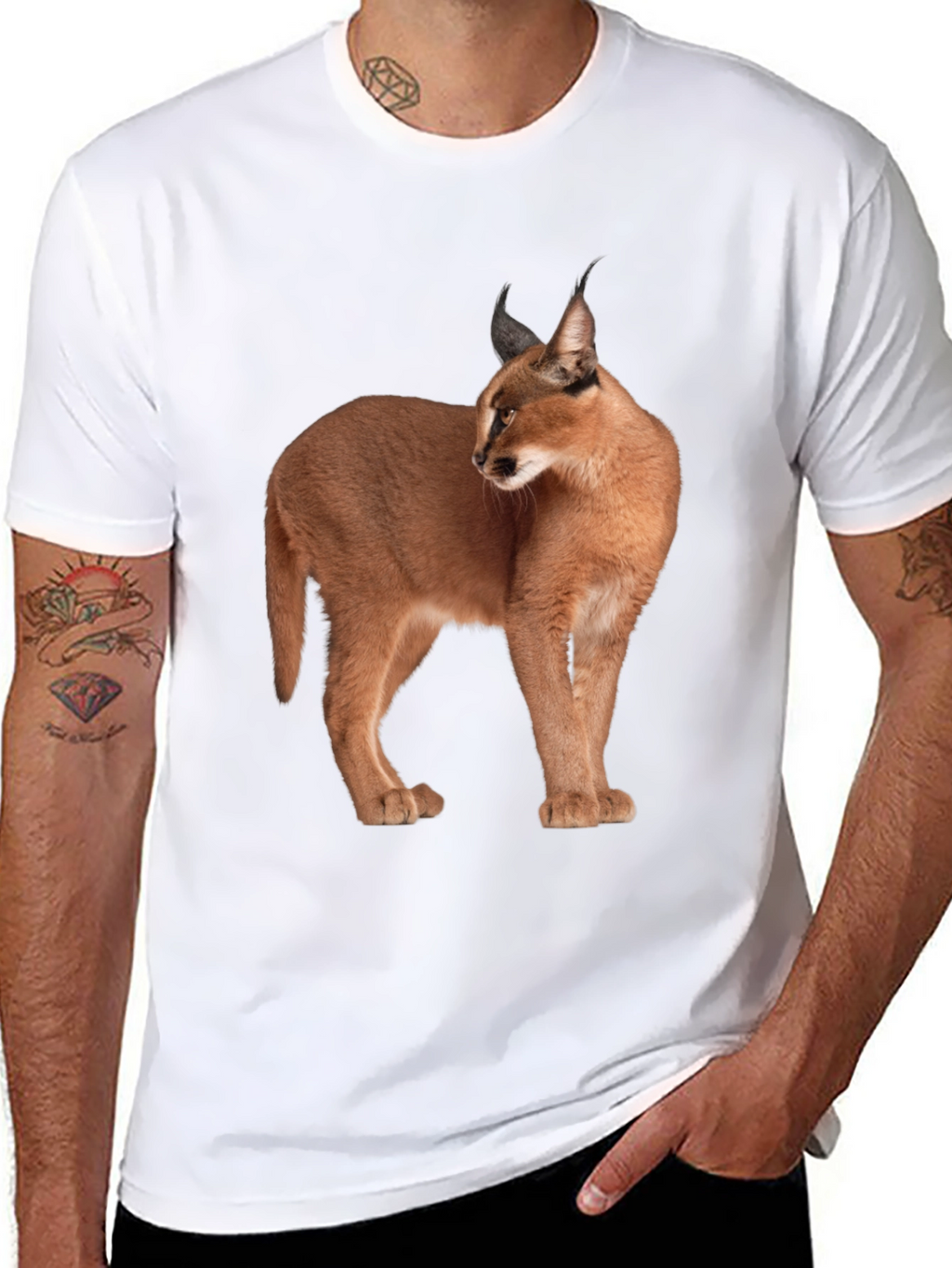 Caracal Cat Graphic T-Shirt