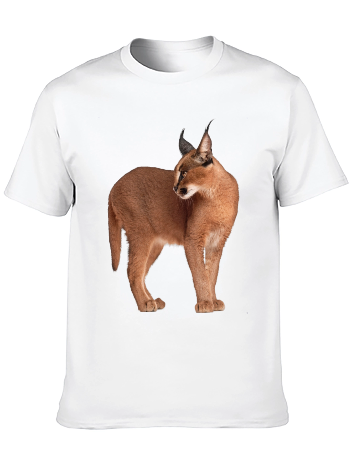 Caracal Cat Graphic T-Shirt