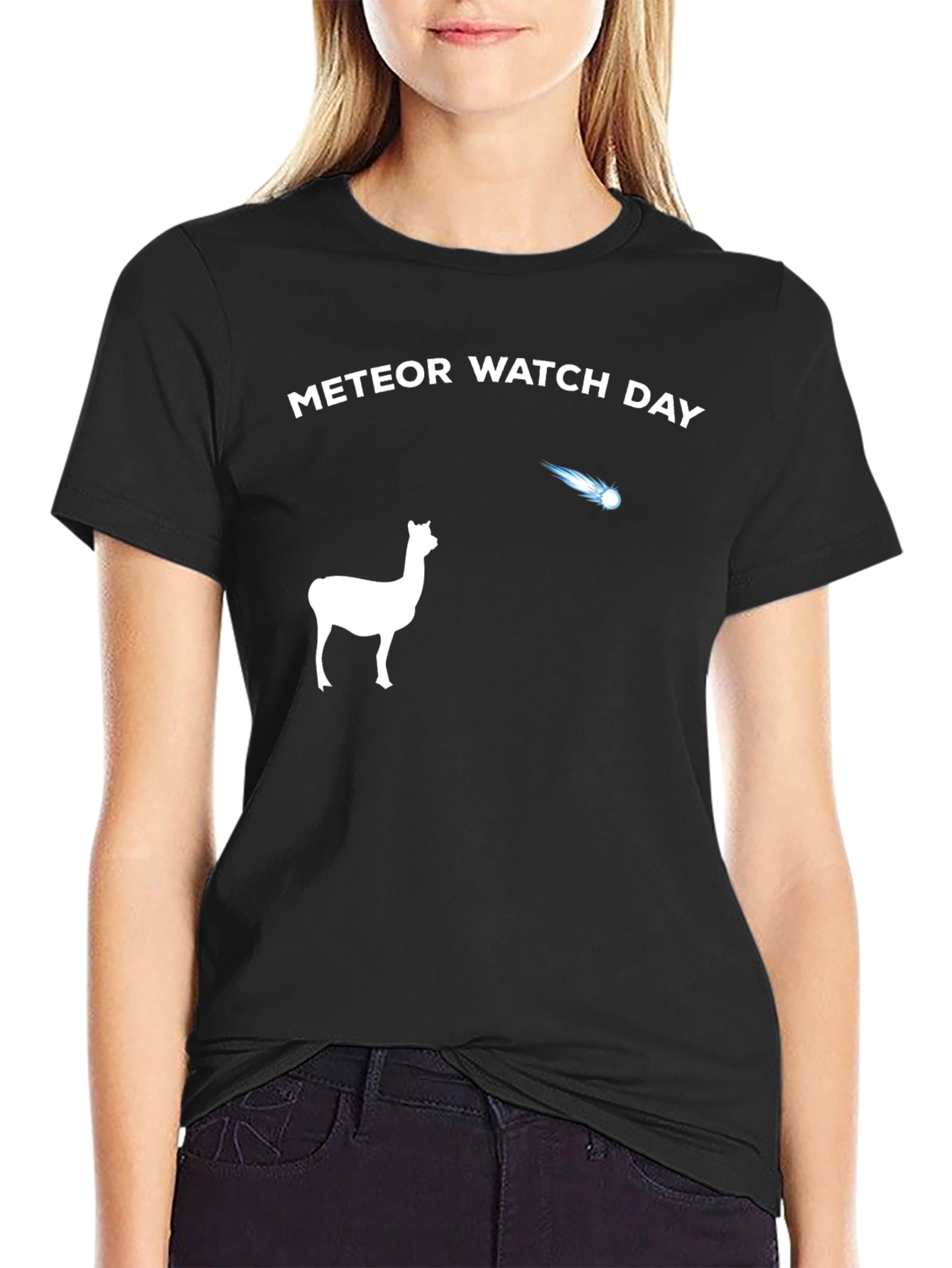 Meteor Watch Day Alpaca T-Shirt