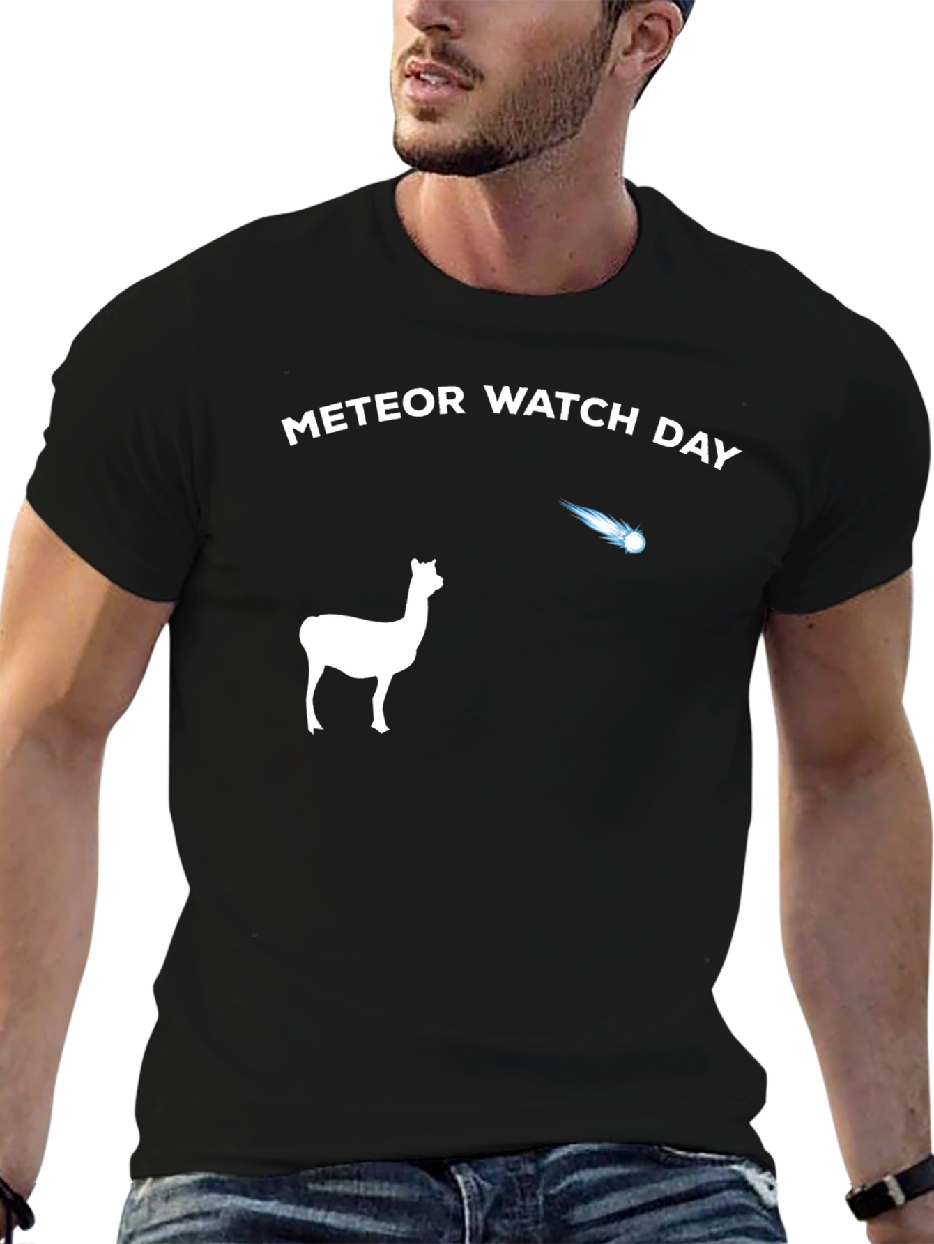 Meteor Watch Day Alpaca T-Shirt