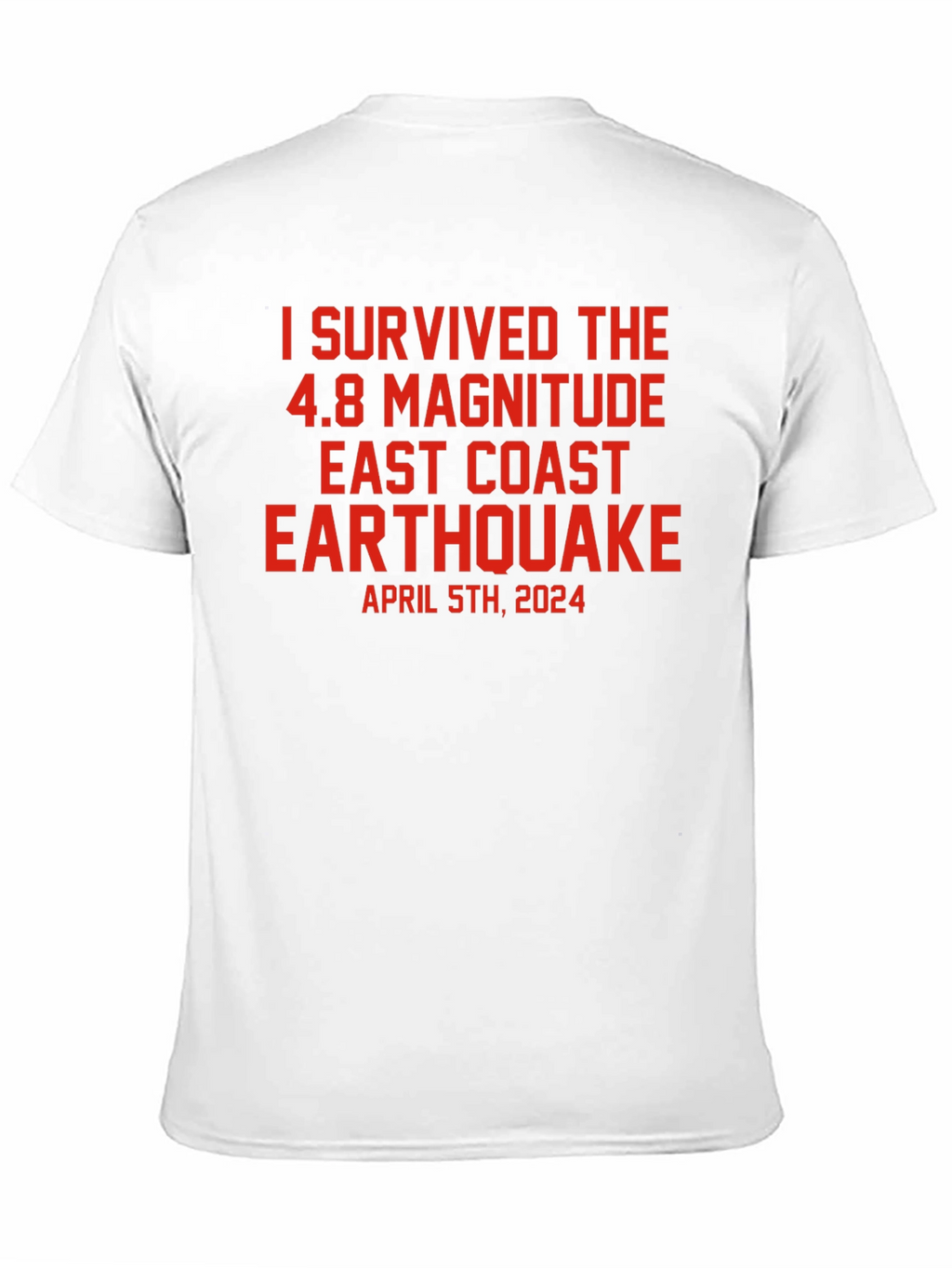 I Survived 4.8 East Coast Earthquake T-Shirt