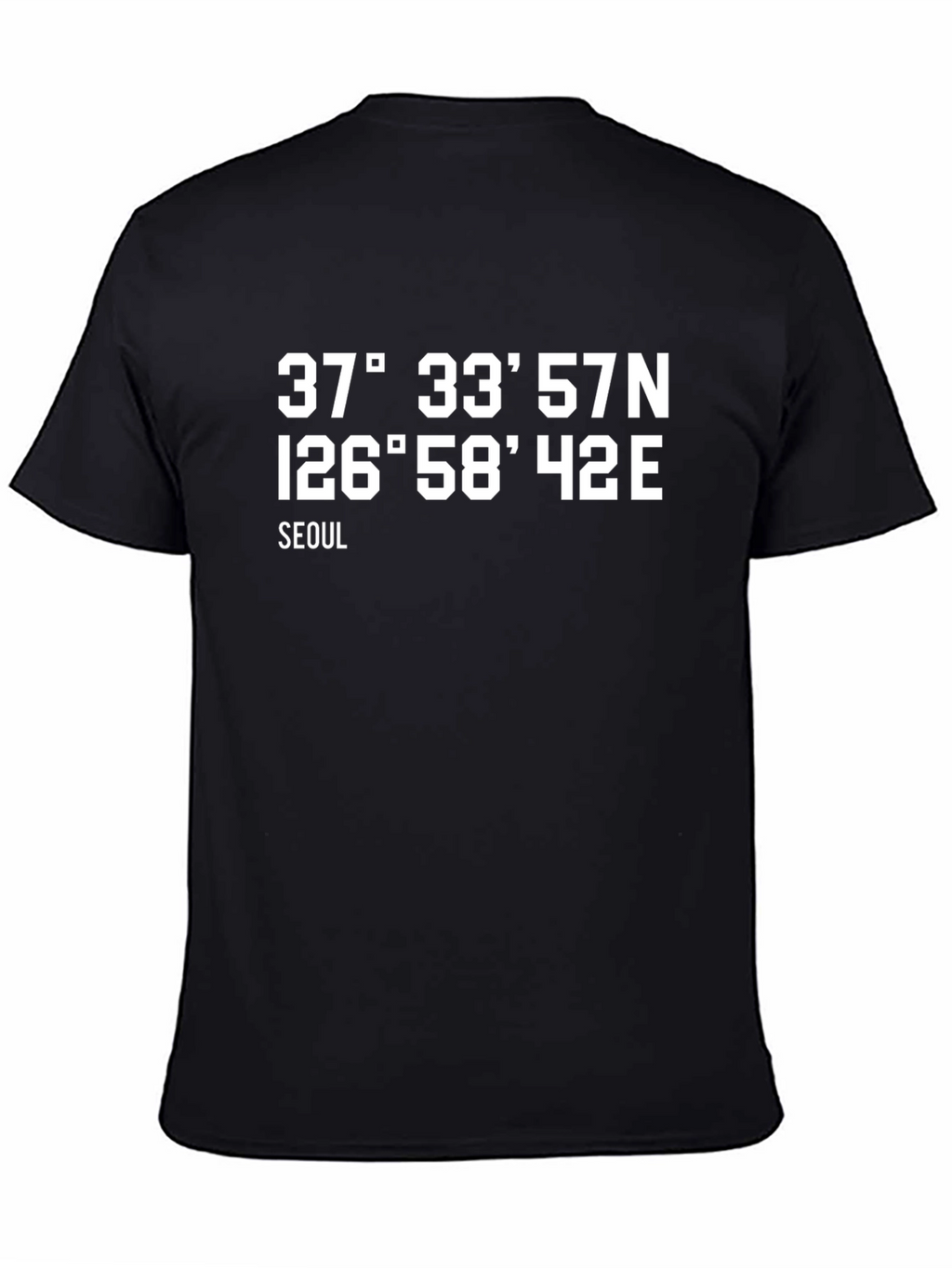 Seoul Coordinates T-Shirt - City Pride