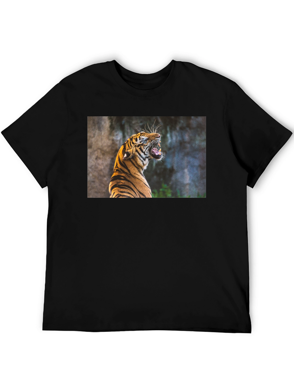Tiger Graphic Tee - Black