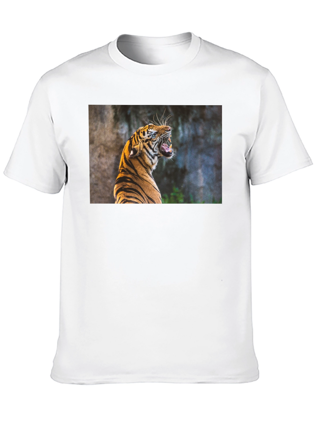 Tiger Graphic Tee - Black