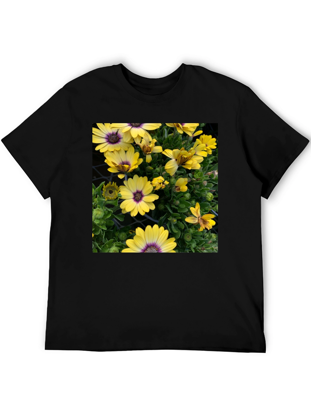 Floral Graphic T-Shirt - Yellow Daisy Print