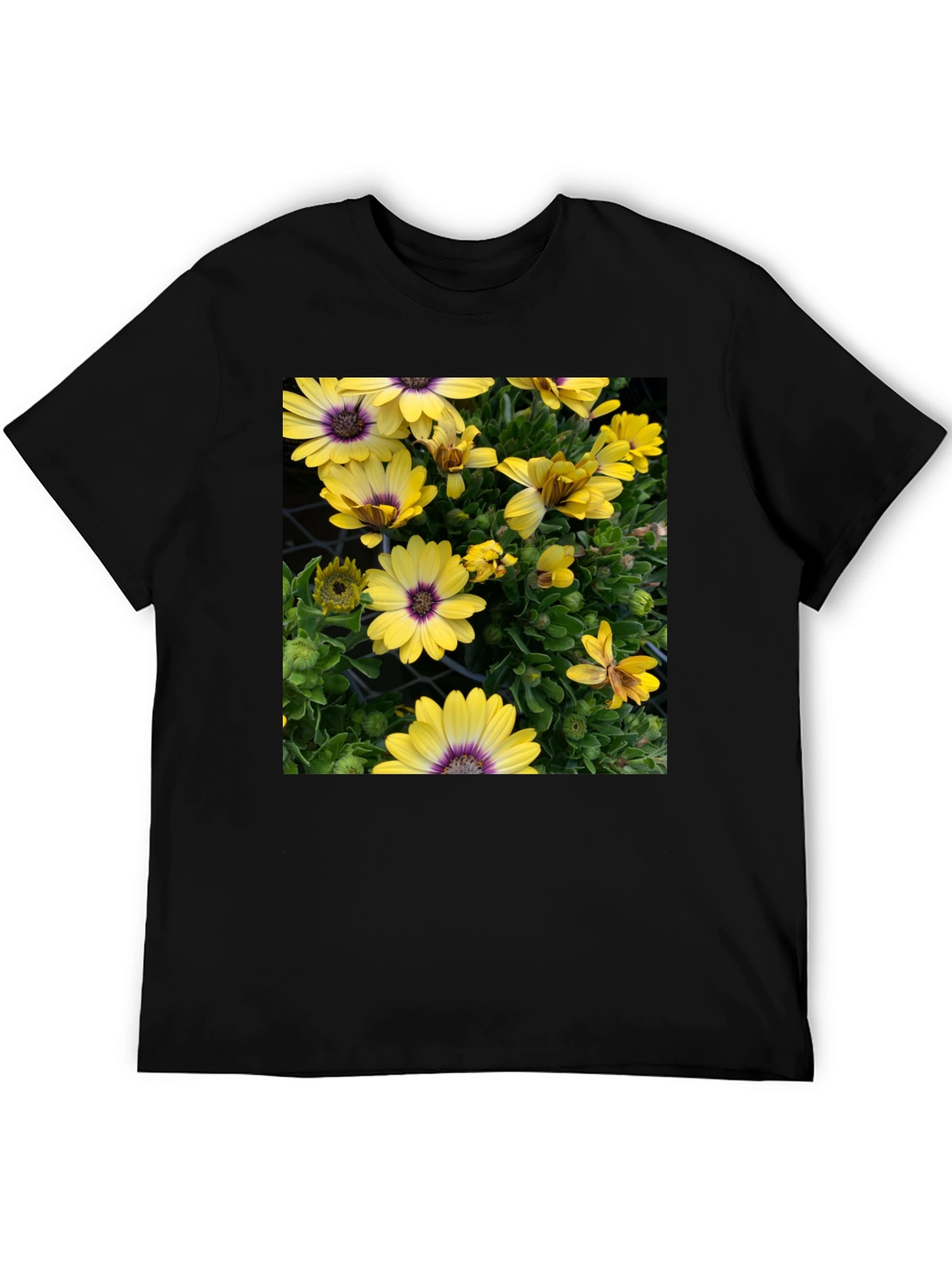 Floral Graphic T-Shirt - Yellow Daisy Print