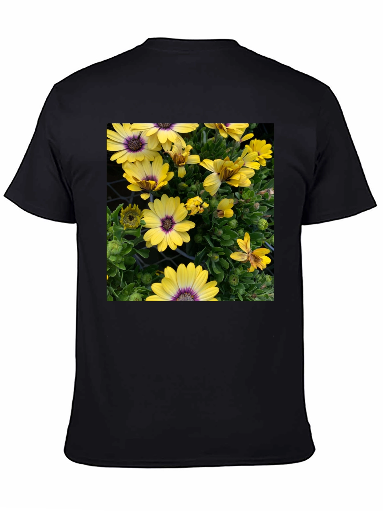 Floral Graphic T-Shirt - Yellow Daisy Print