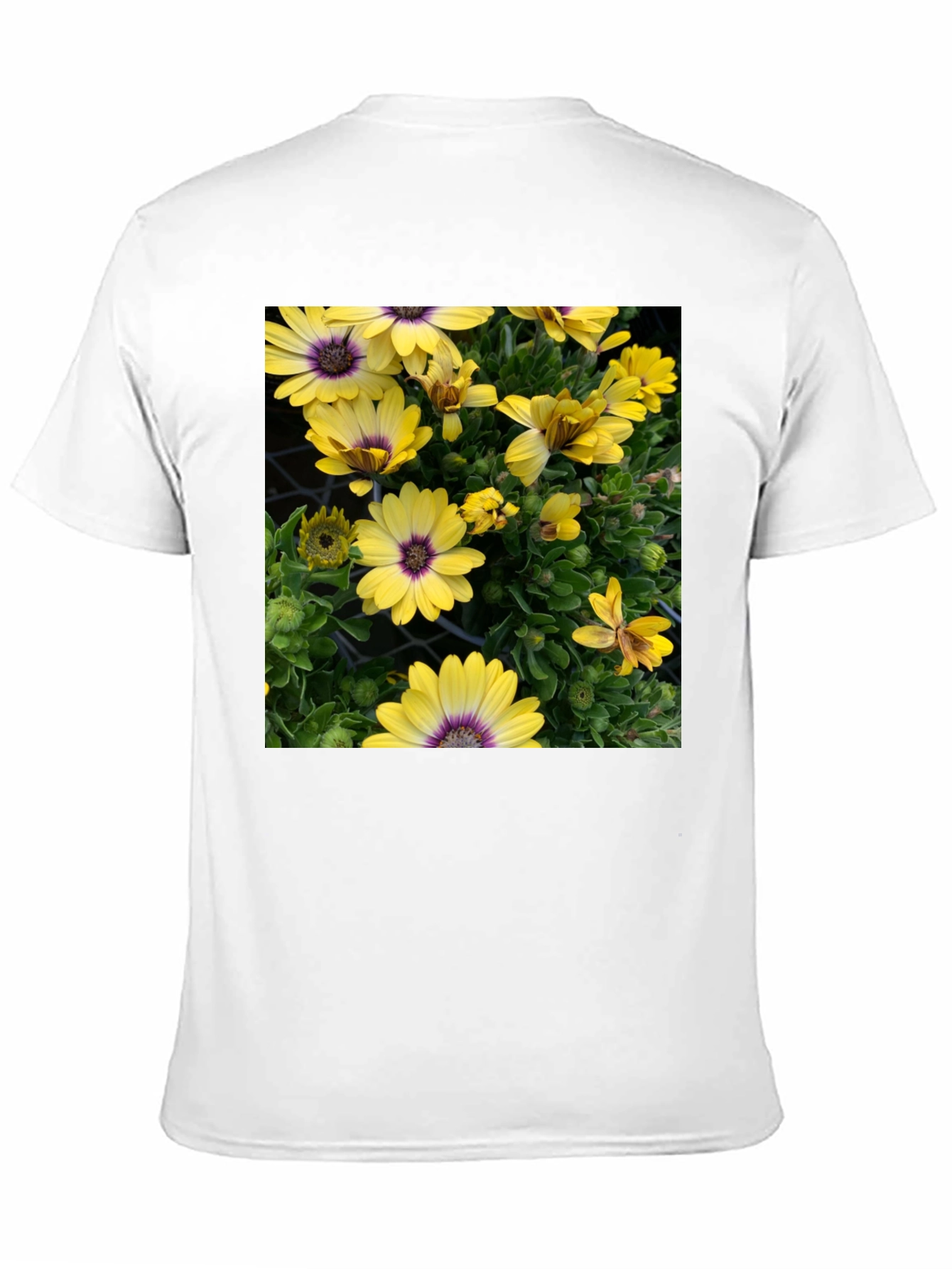 Floral Graphic T-Shirt - Yellow Daisy Print