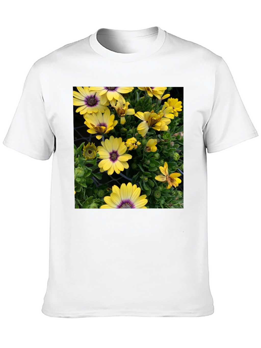 Floral Graphic T-Shirt - Yellow Daisy Print
