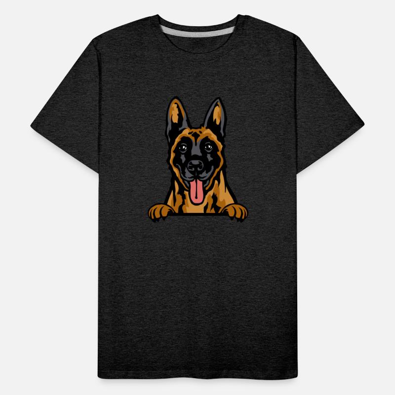 Belgian Malinois