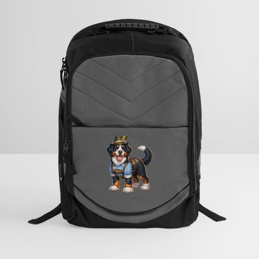 Bernese mountain dog dog Bavaria