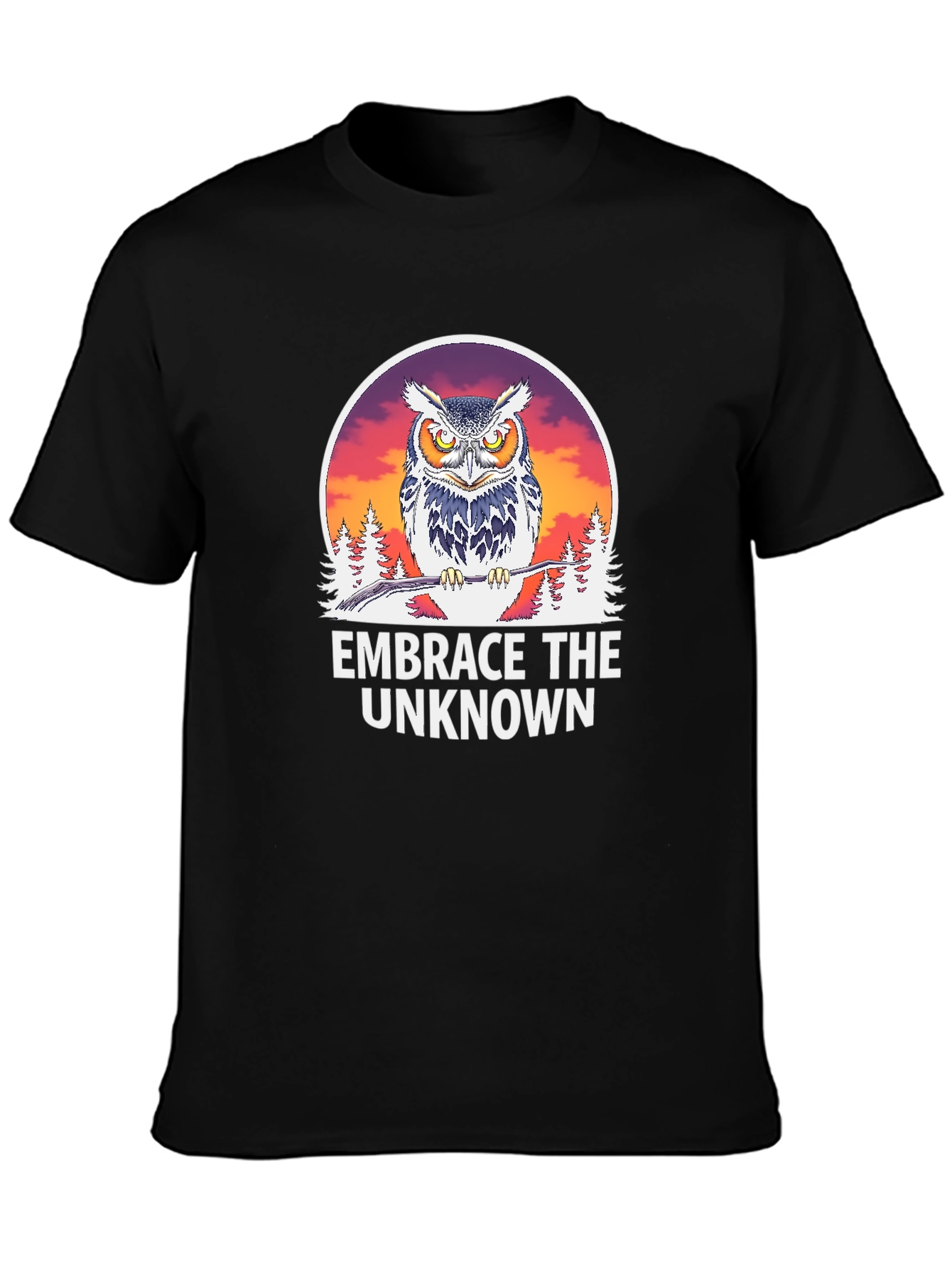Embrace the Unknown Owl Graphic T-Shirt