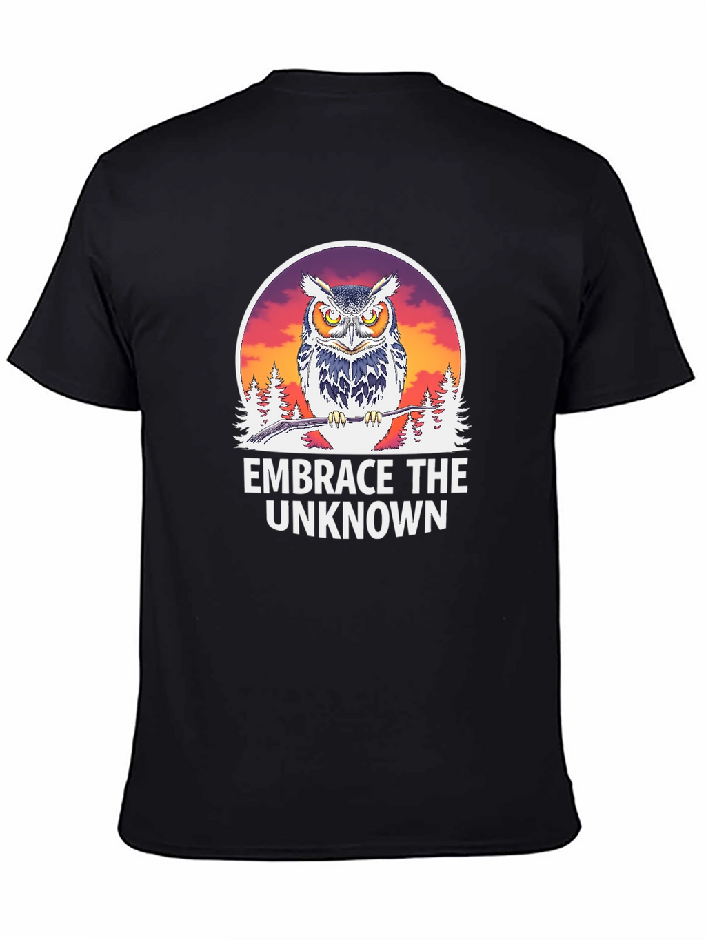Embrace the Unknown Owl Graphic T-Shirt