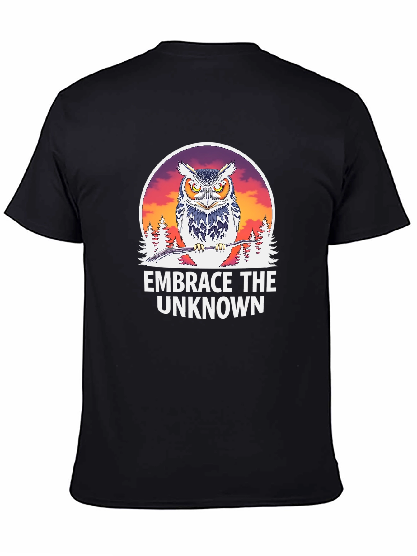 Embrace the Unknown Owl Graphic T-Shirt
