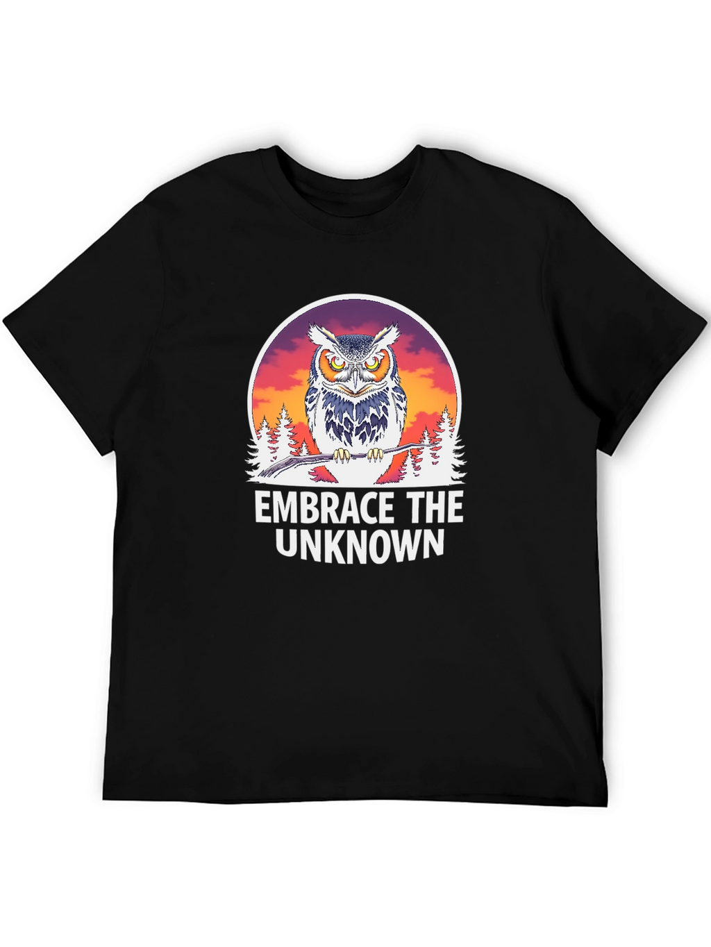 Embrace the Unknown Owl Graphic T-Shirt