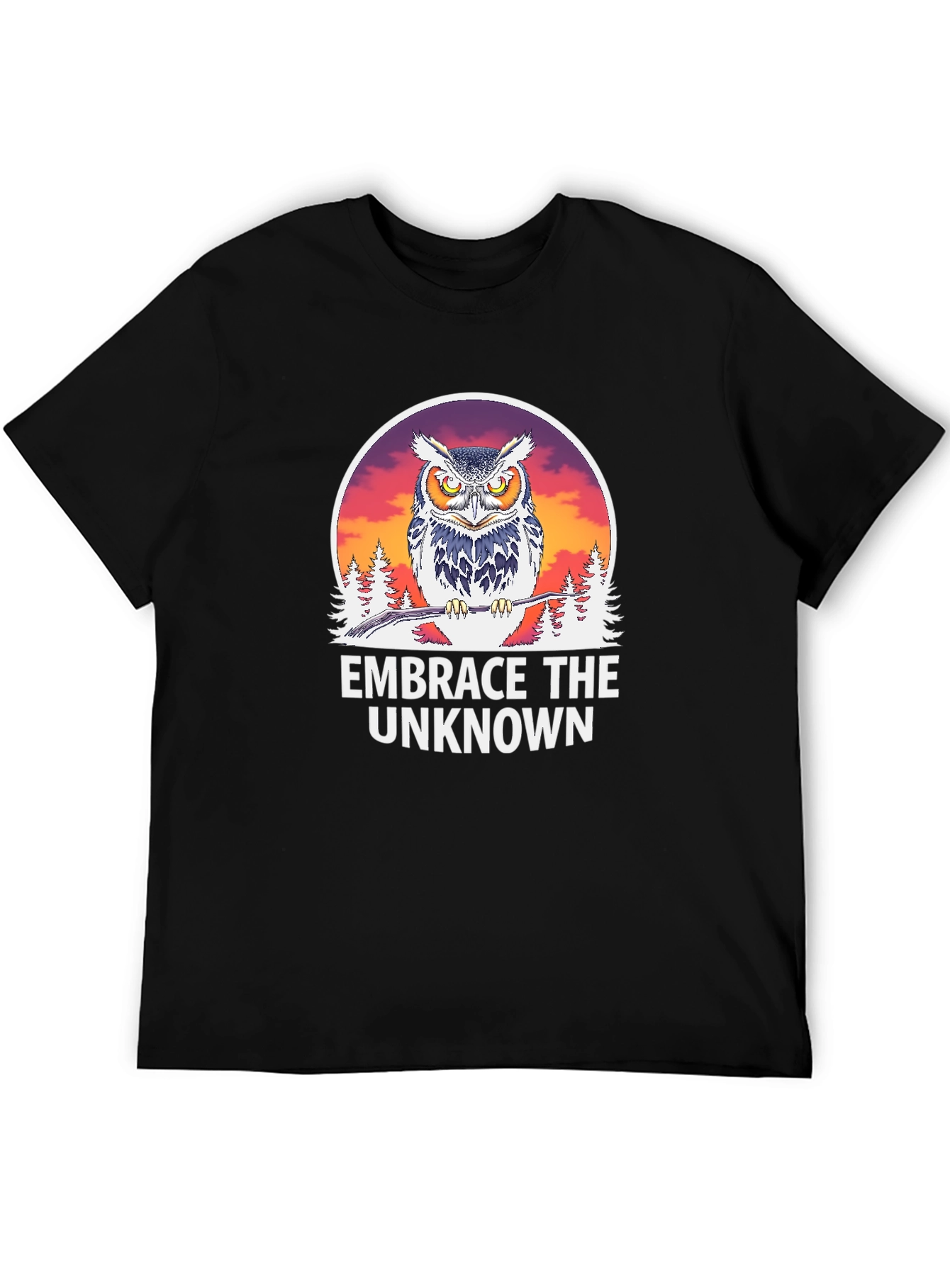 Embrace the Unknown Owl Graphic T-Shirt