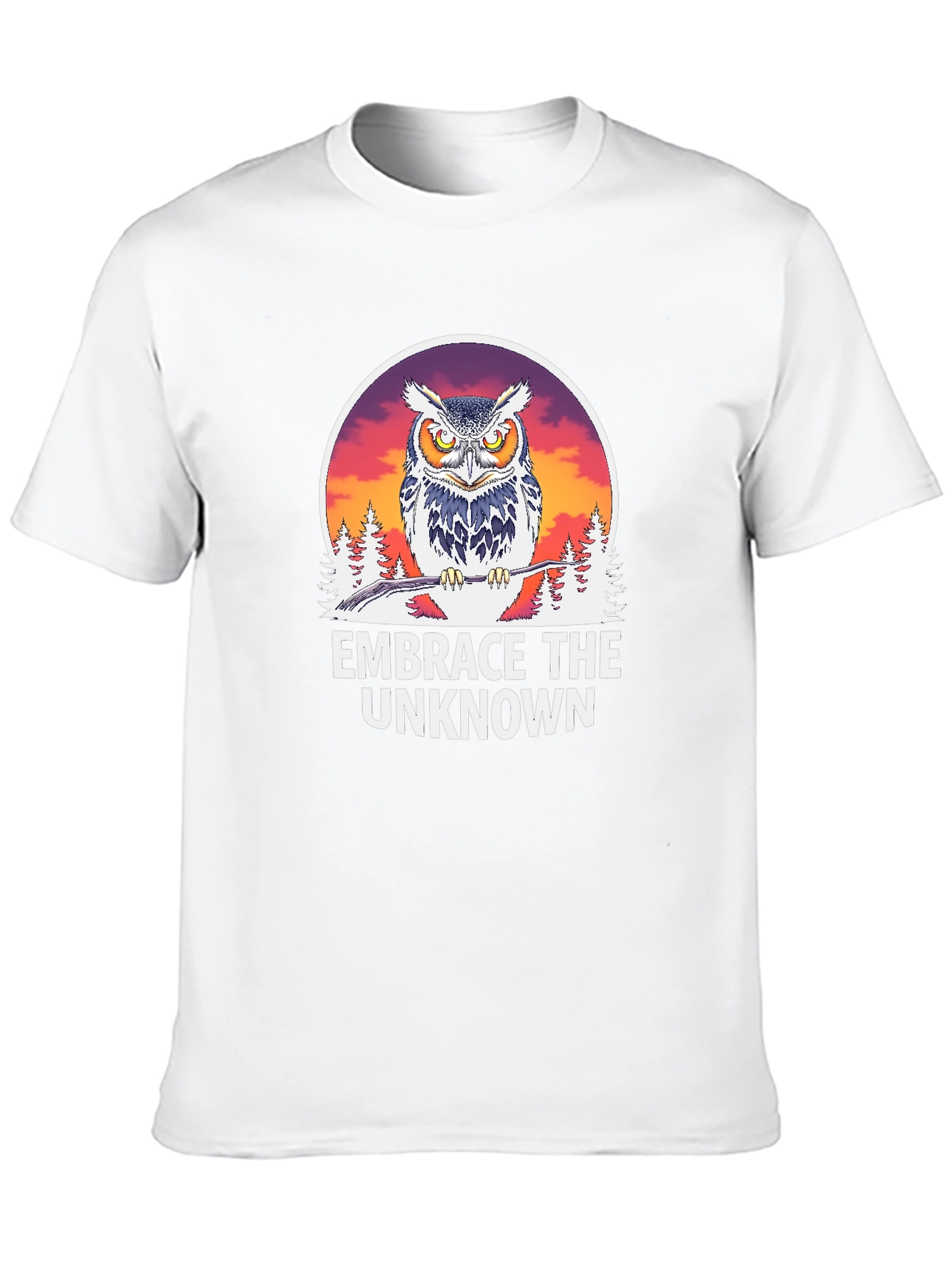 Embrace the Unknown Owl Graphic T-Shirt