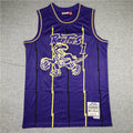 Men's Toronto Raptors Tracy McGrady 1998-99 Purple Hardwood Classics Swingman Jerseys