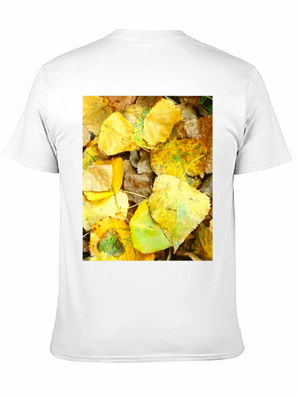 Autumn Leaves Graphic T-Shirt
