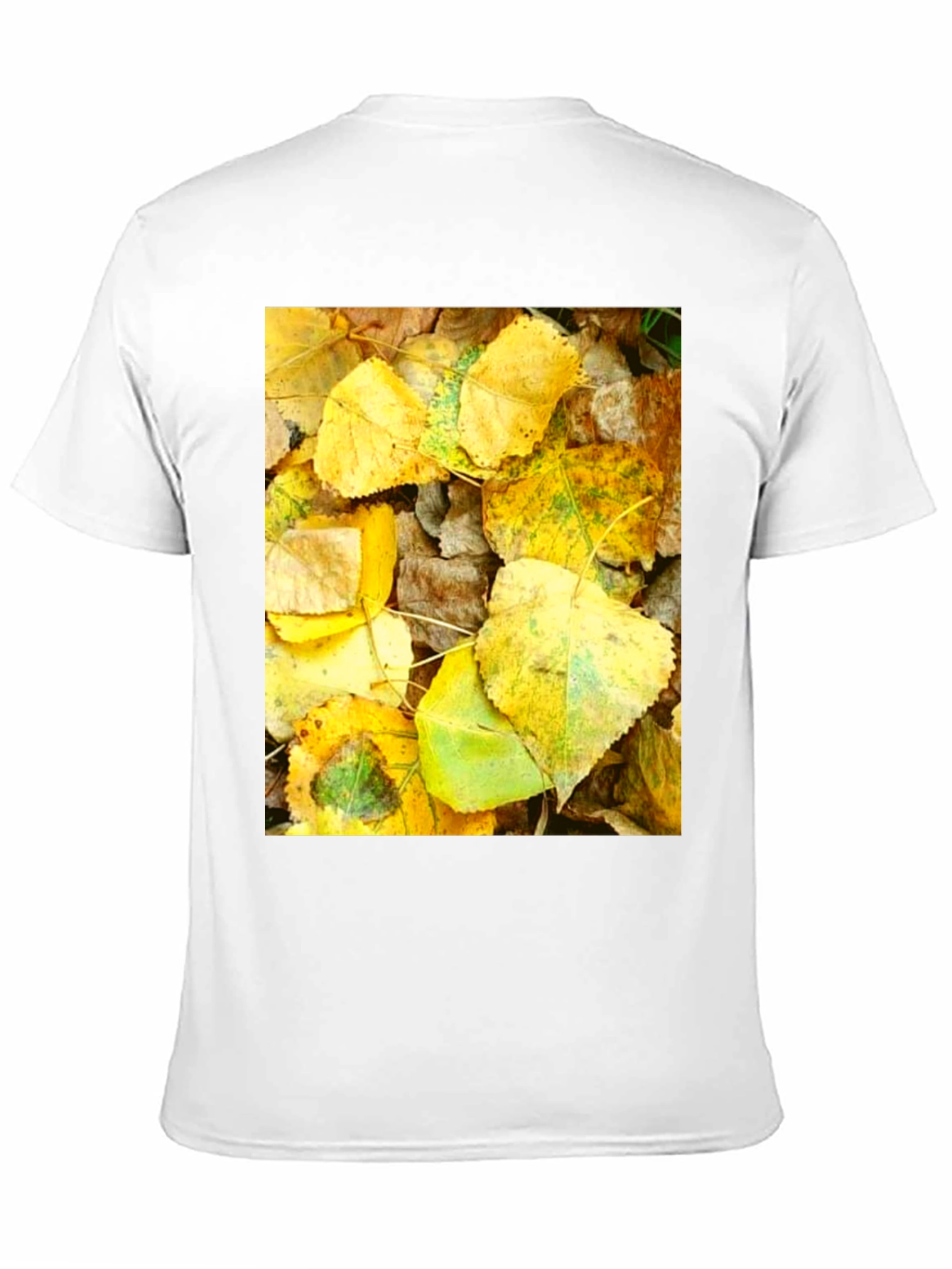 Autumn Leaves Graphic T-Shirt