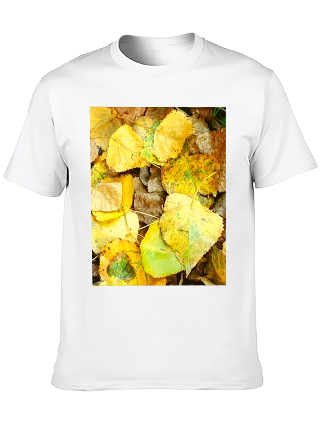 Autumn Leaves Graphic T-Shirt