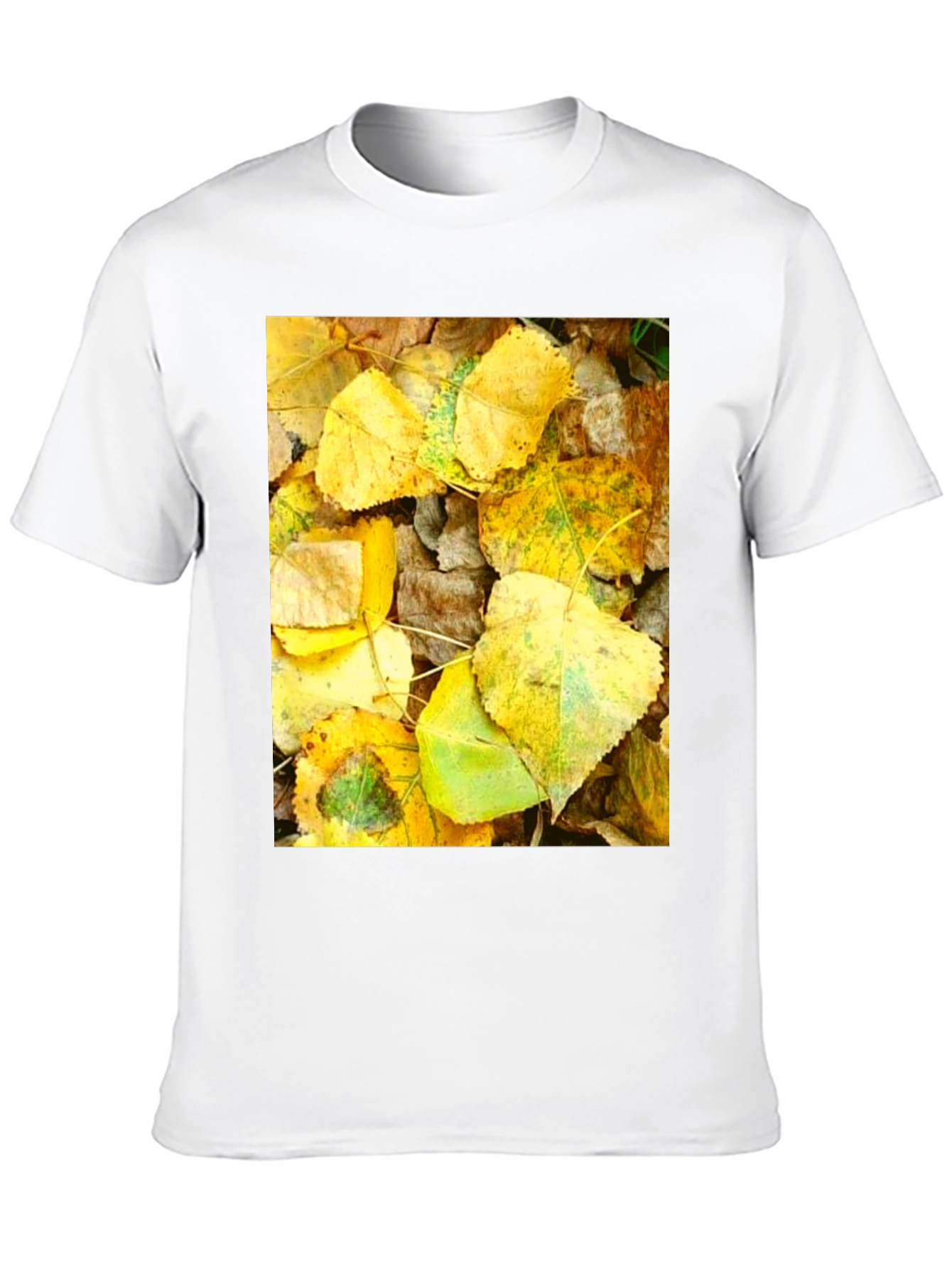 Autumn Leaves Graphic T-Shirt