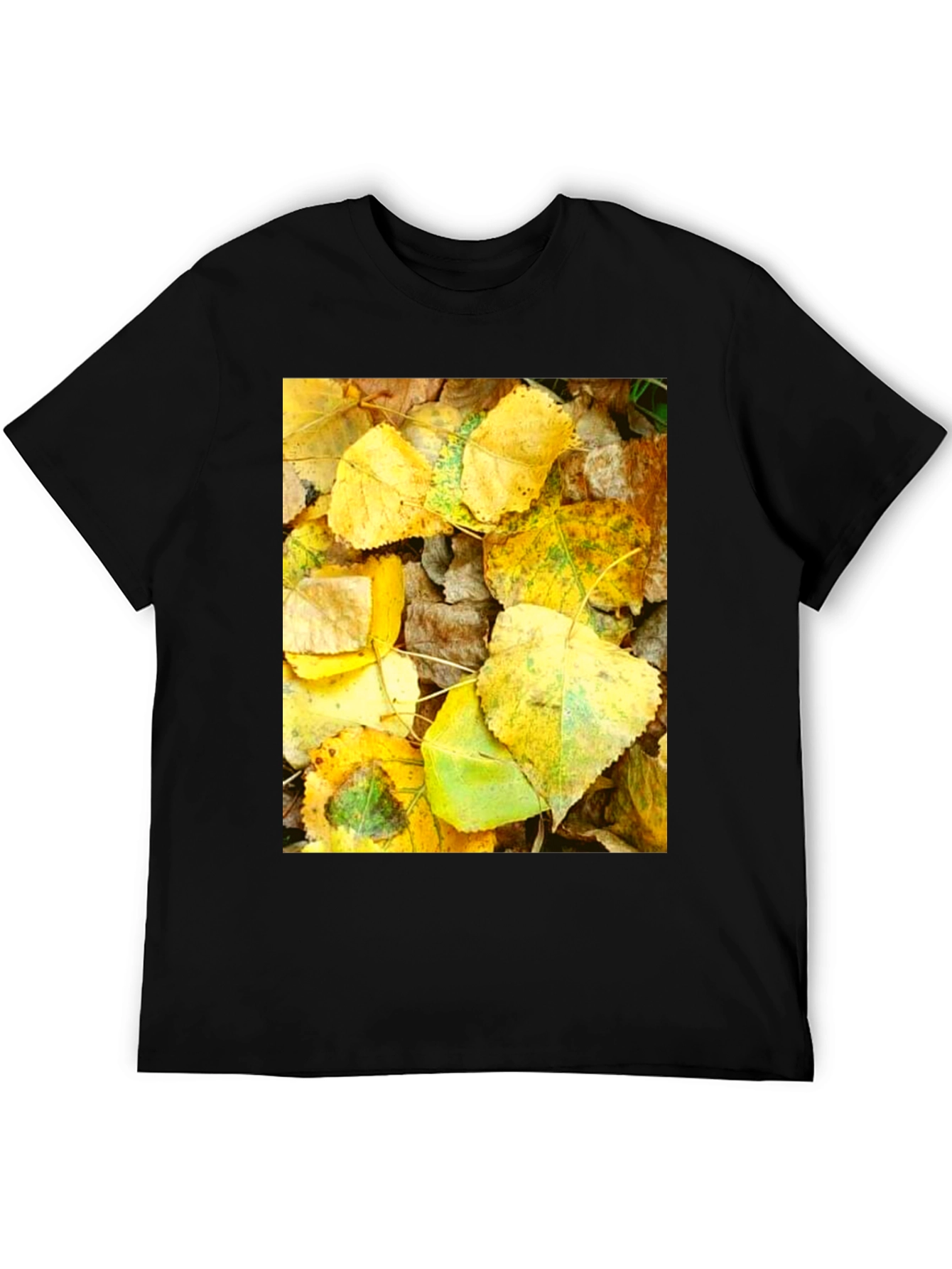 Autumn Leaves Graphic T-Shirt