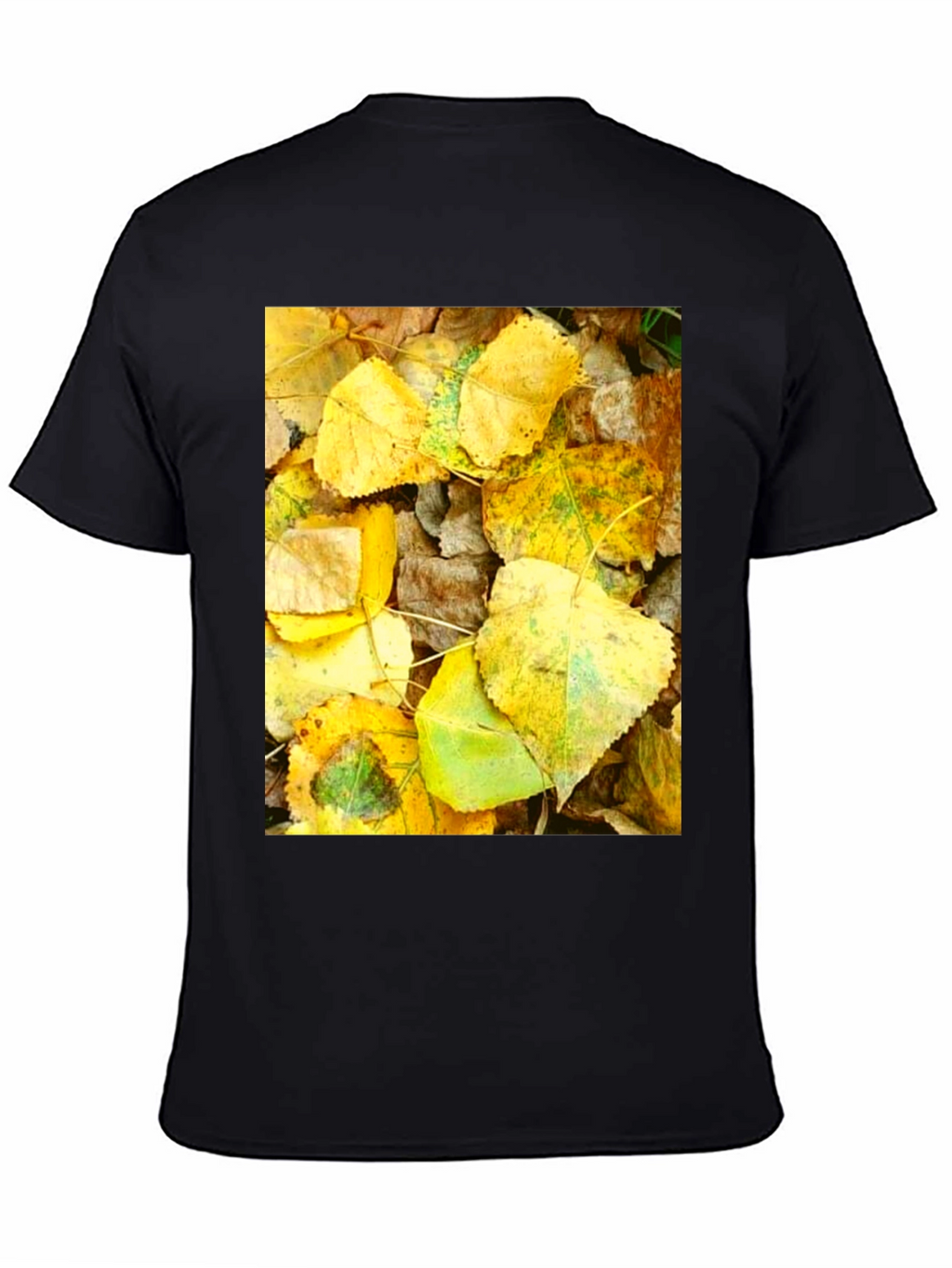 Autumn Leaves Graphic T-Shirt