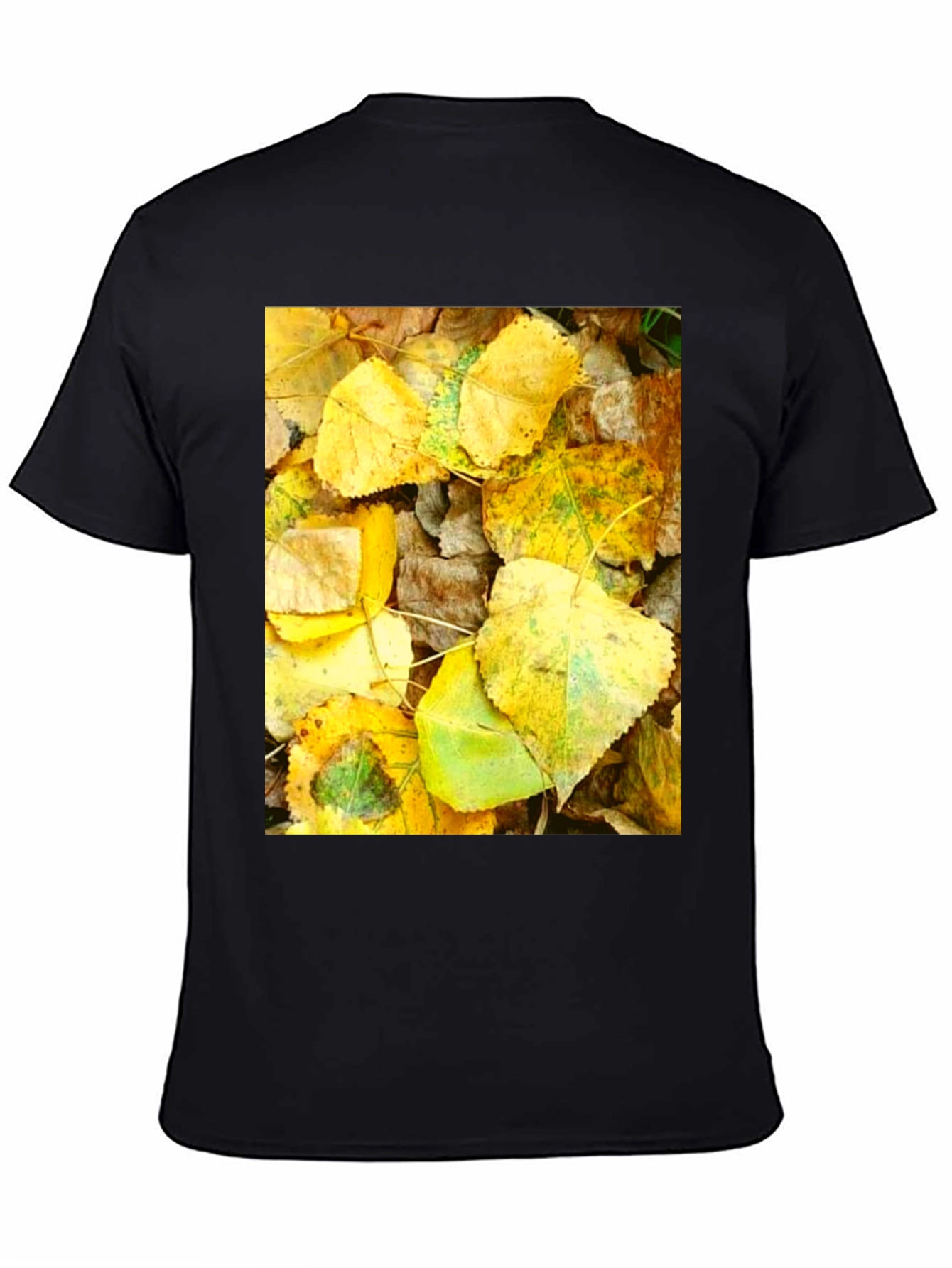 Autumn Leaves Graphic T-Shirt