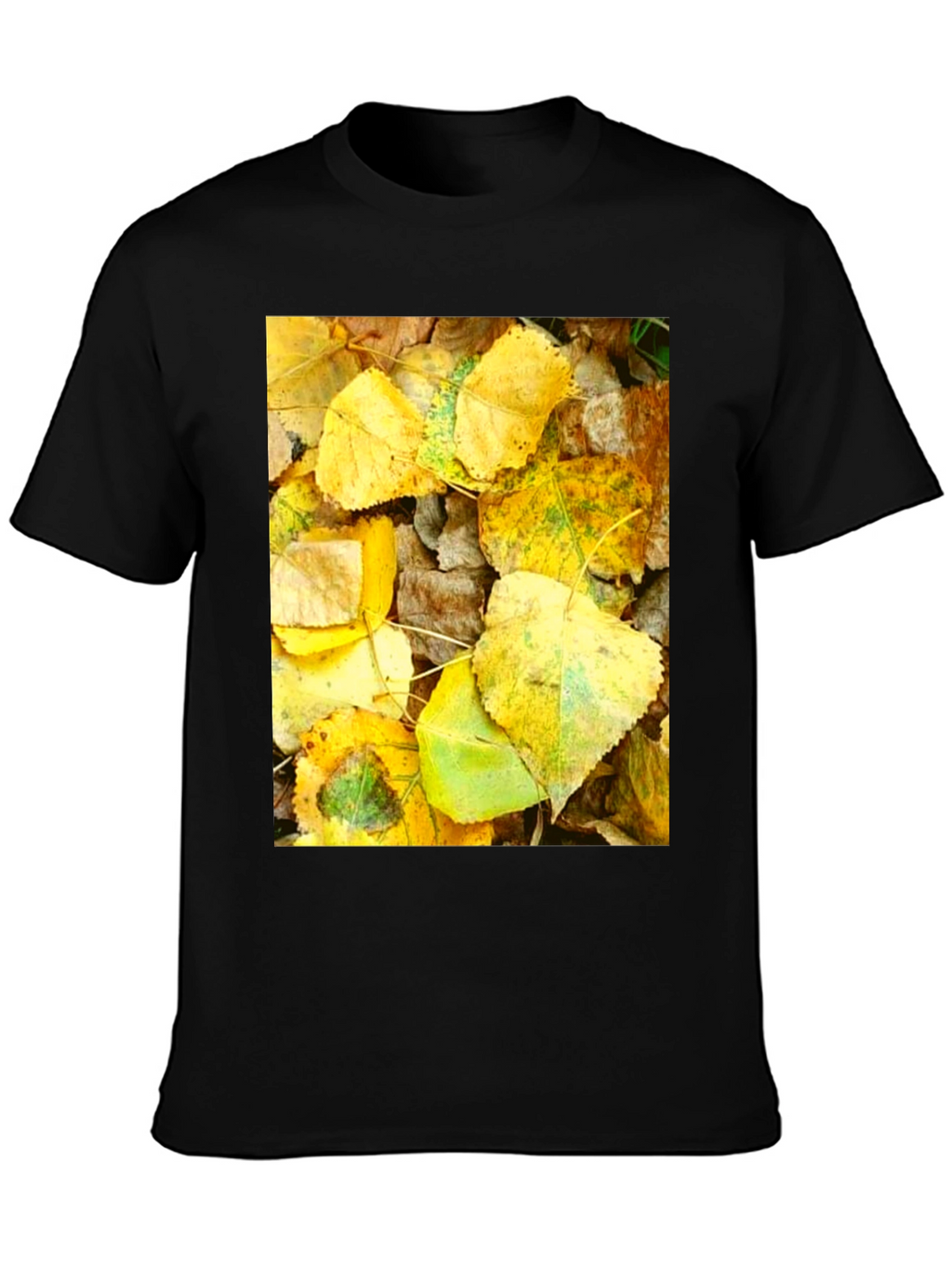 Autumn Leaves Graphic T-Shirt