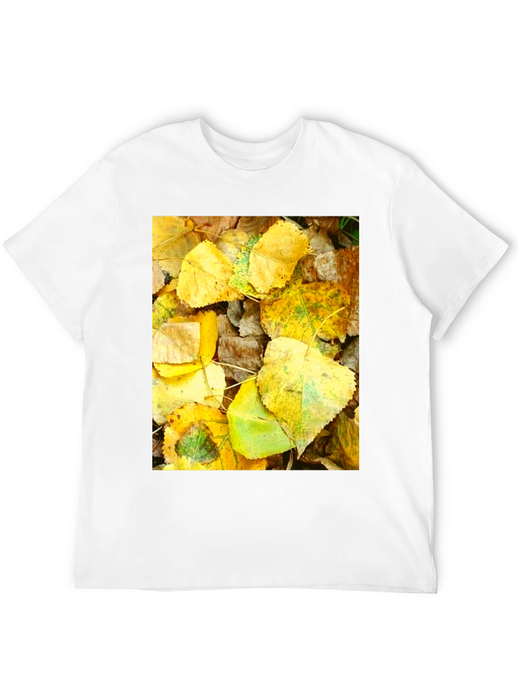 Autumn Leaves Graphic T-Shirt