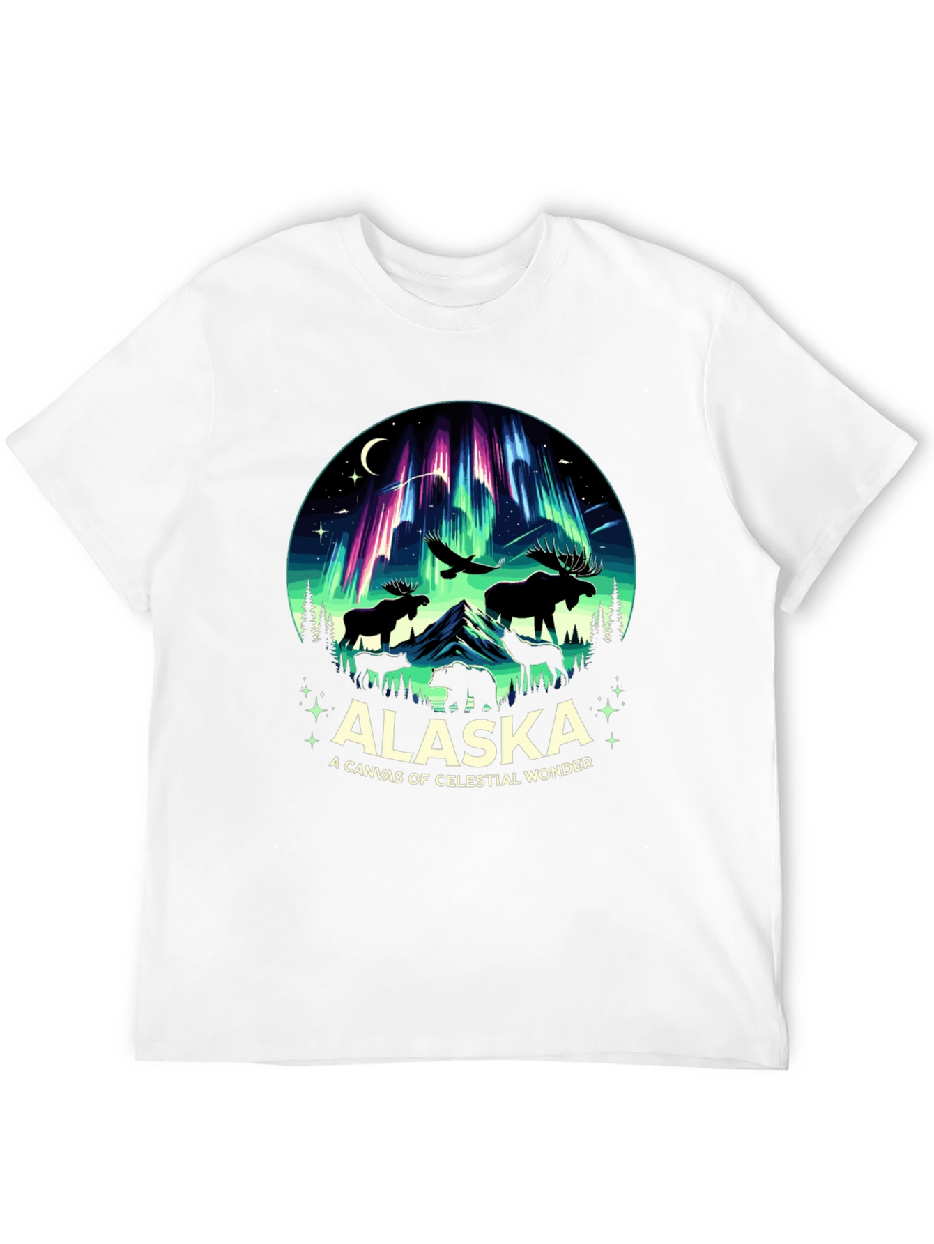 Alaska Celestial Wonder Graphic Tee