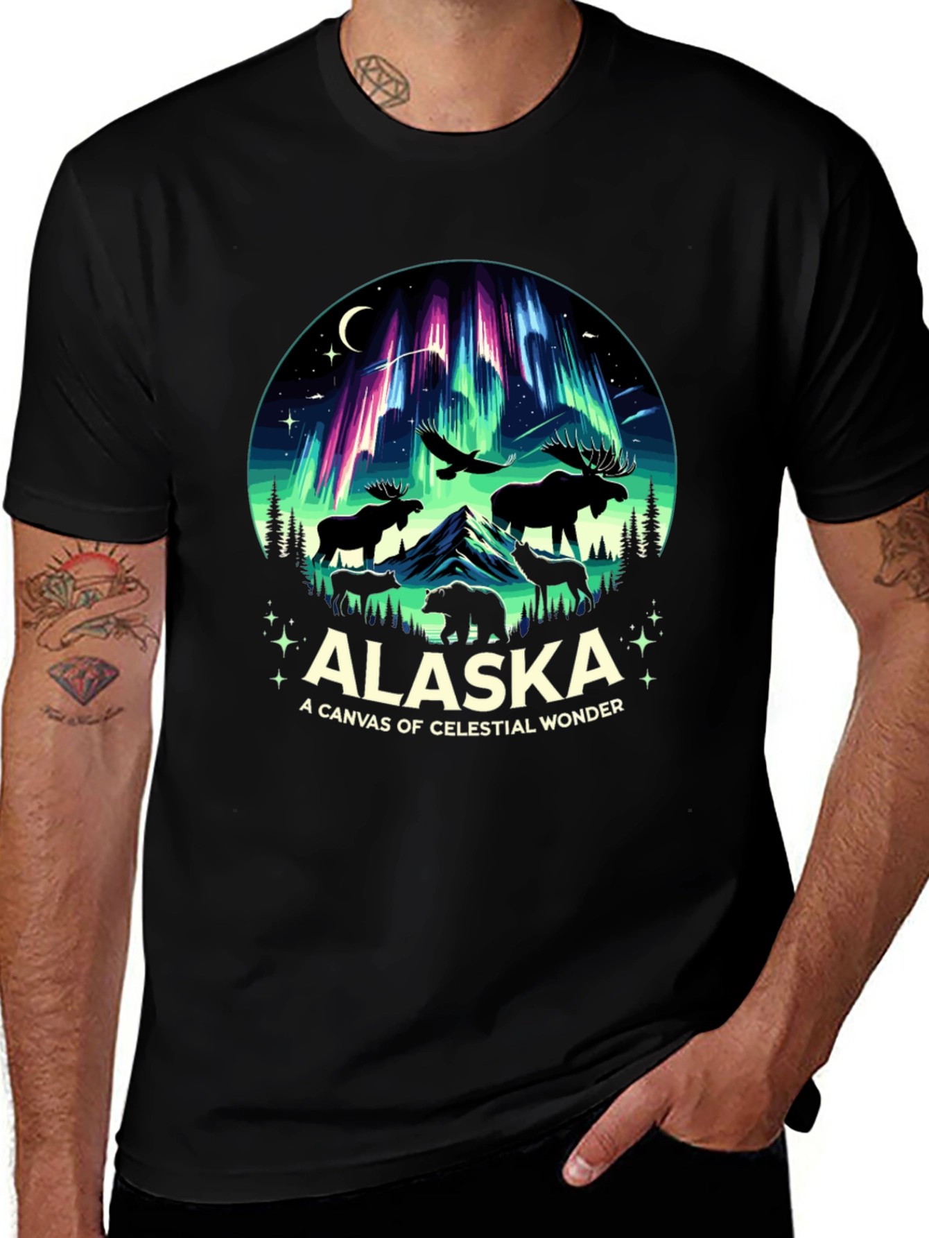 Alaska Celestial Wonder Graphic Tee