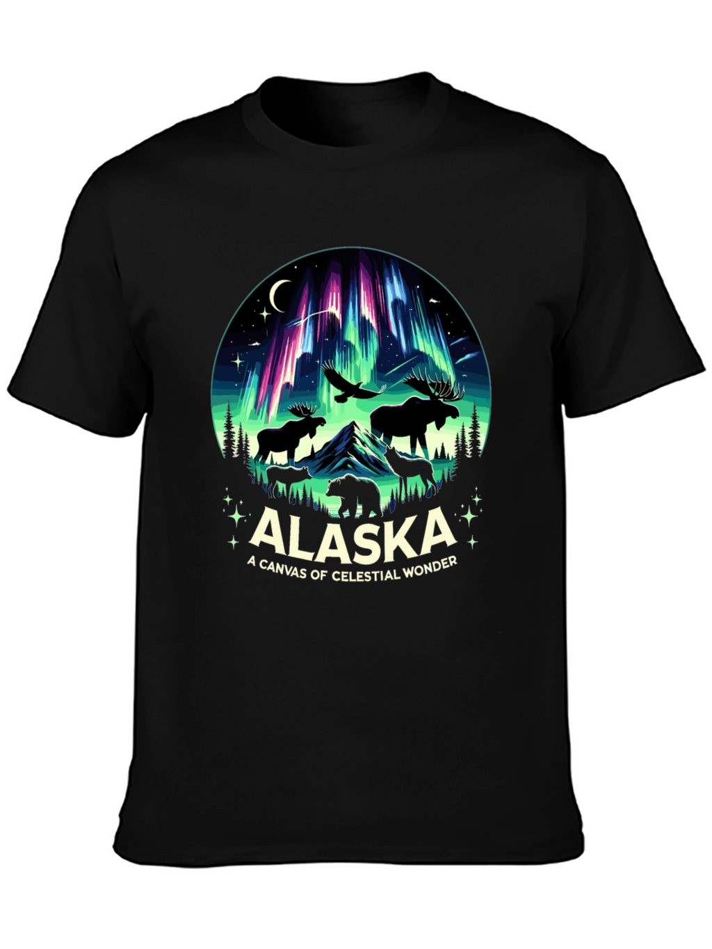 Alaska Celestial Wonder Graphic Tee