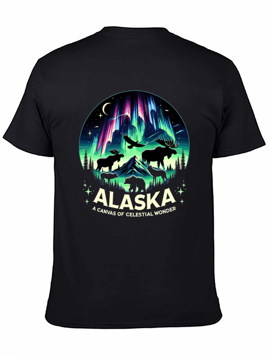 Alaska Celestial Wonder Graphic Tee