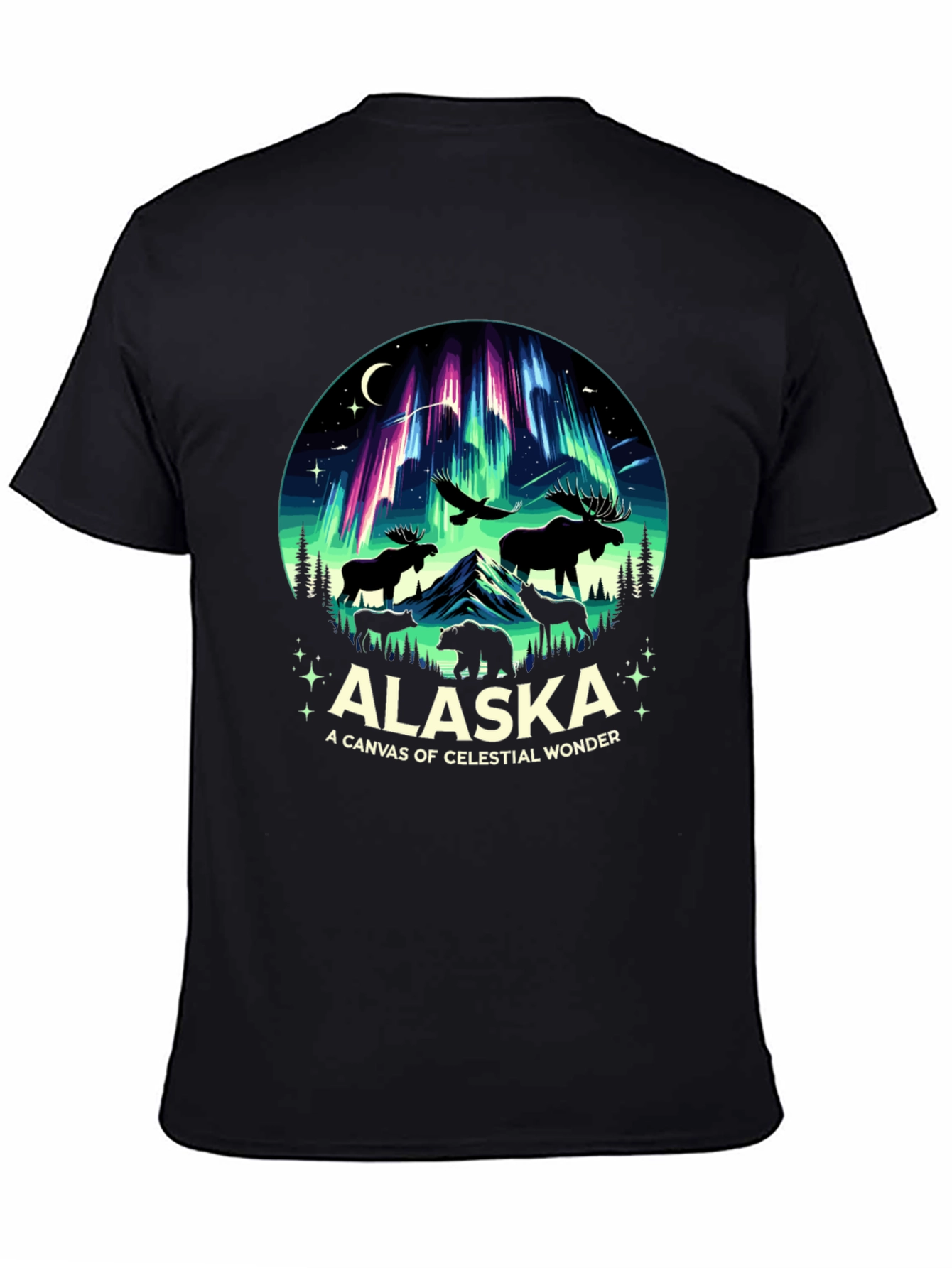 Alaska Celestial Wonder Graphic Tee
