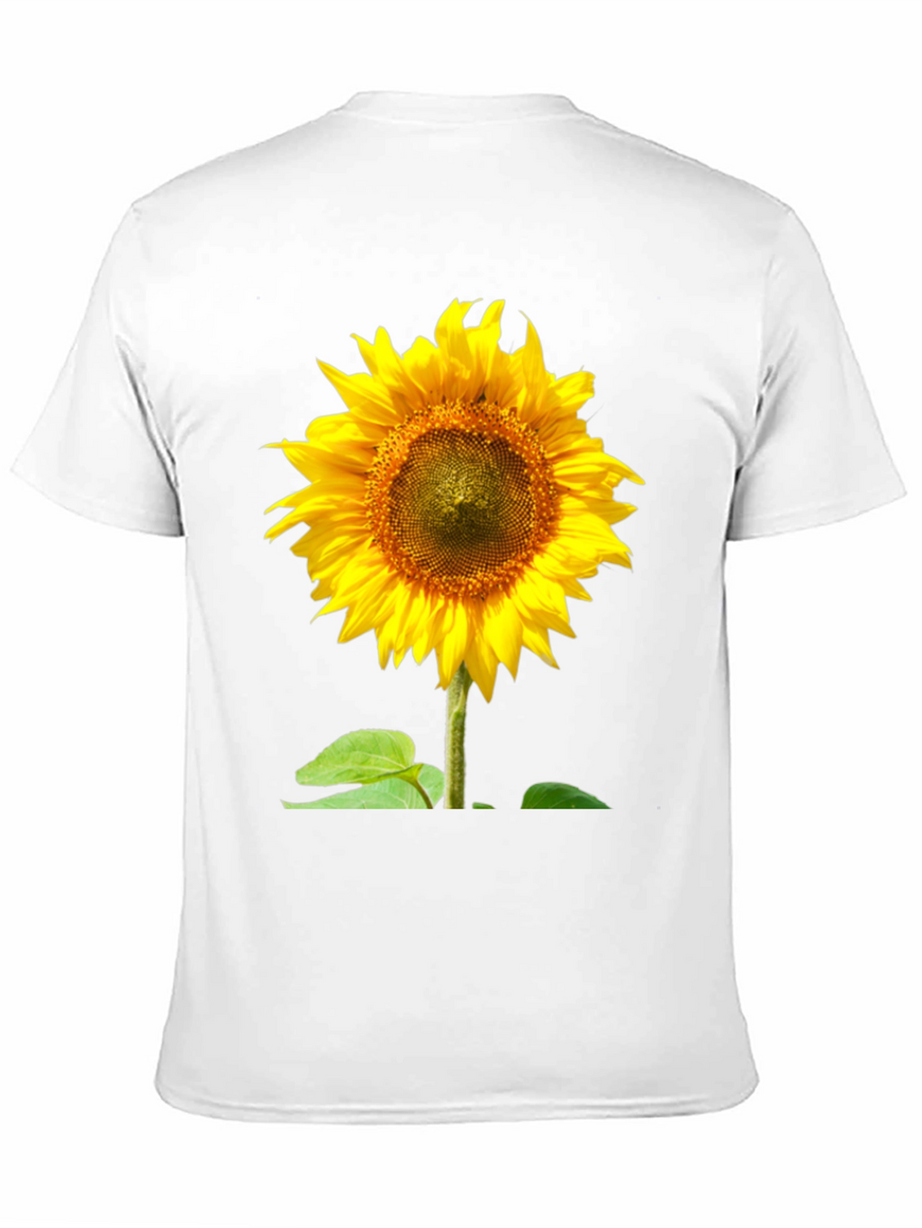 Sunflower Graphic Tee - Vivid Black Cotton Comfort