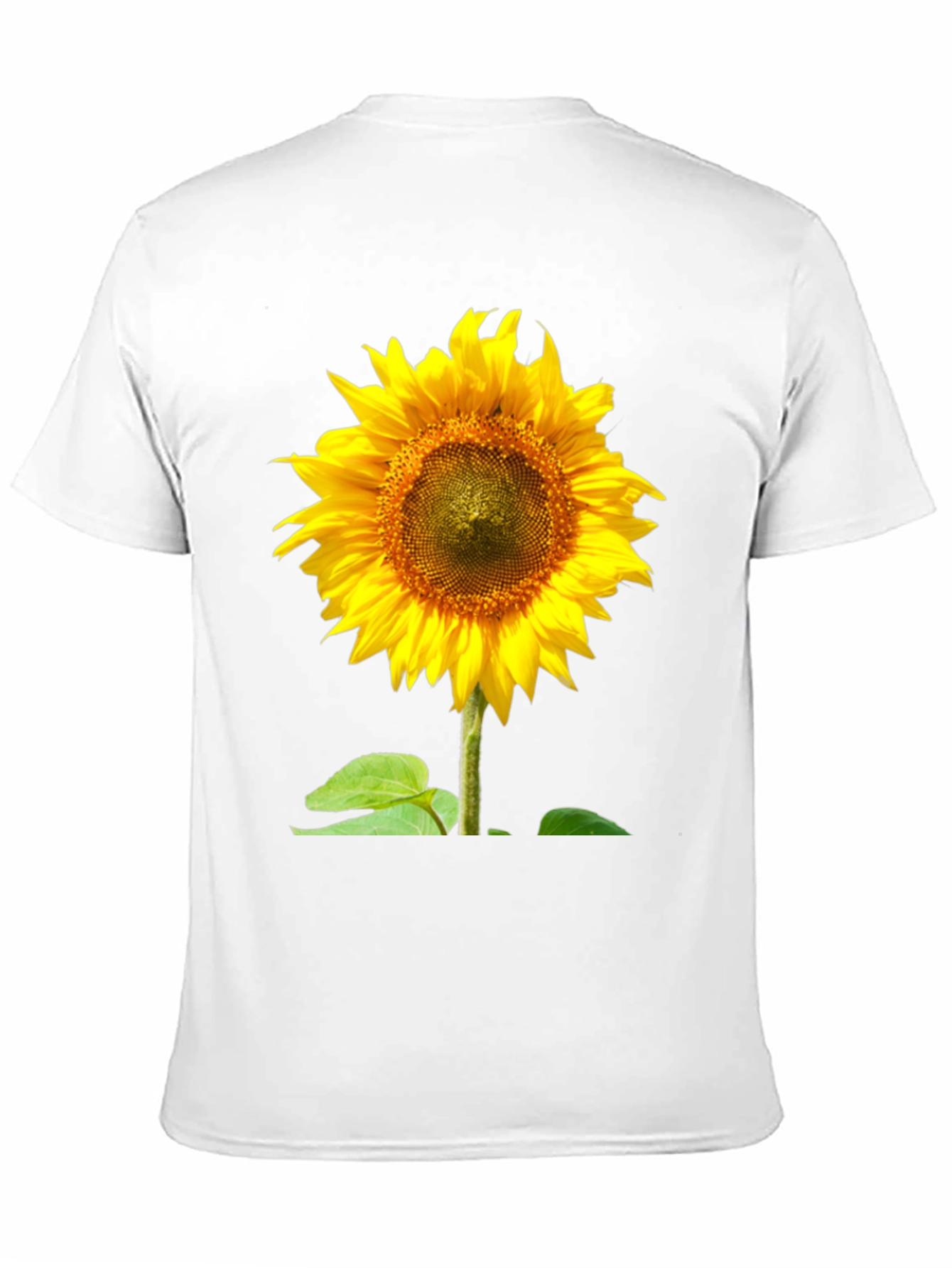 Sunflower Graphic Tee - Vivid Black Cotton Comfort