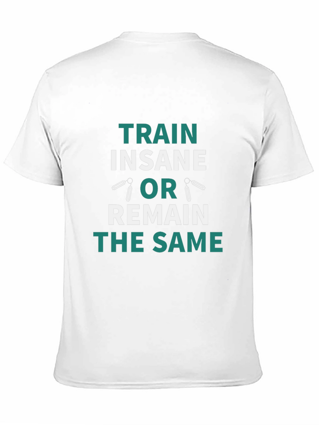 Train Insane or Remain the Same T-Shirt