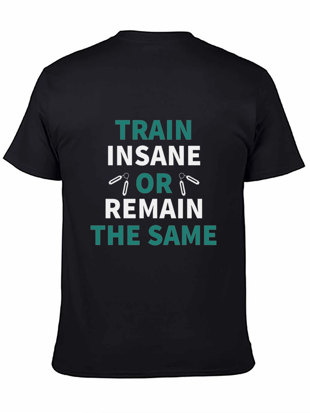 Train Insane or Remain the Same T-Shirt